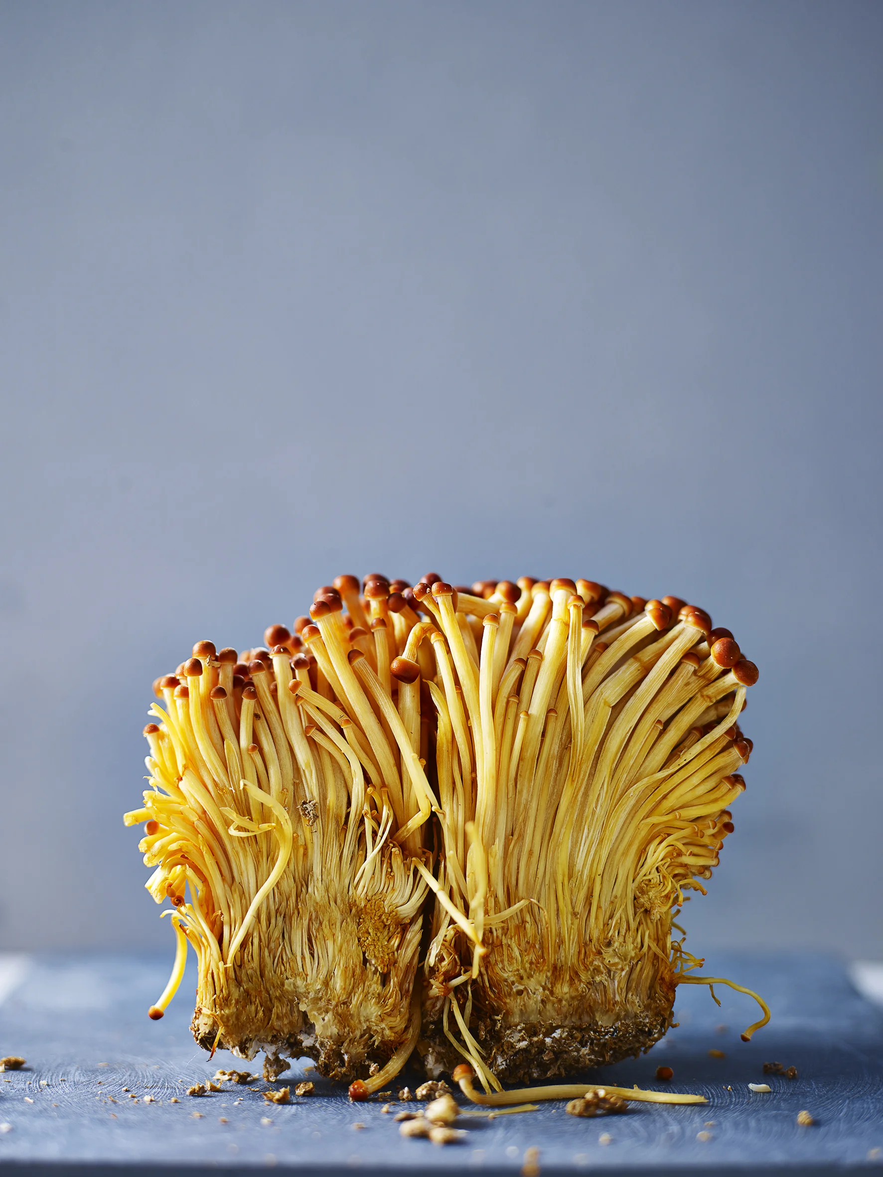 enoki mushrooms 1.jpg