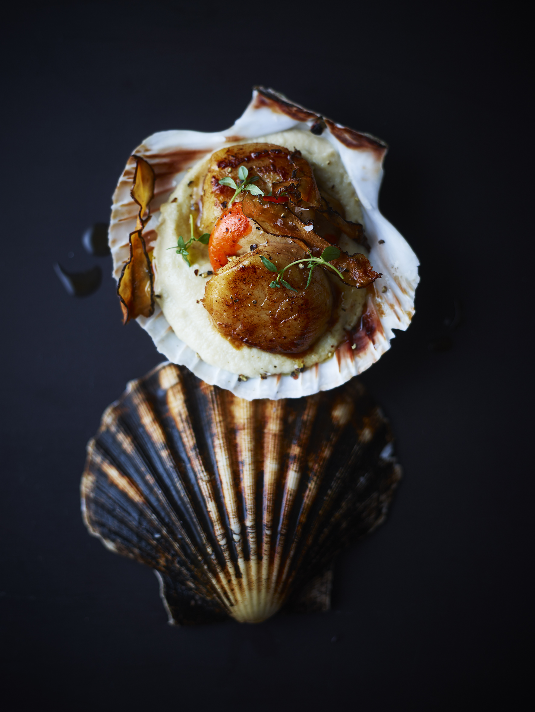Scallops__0635.jpg