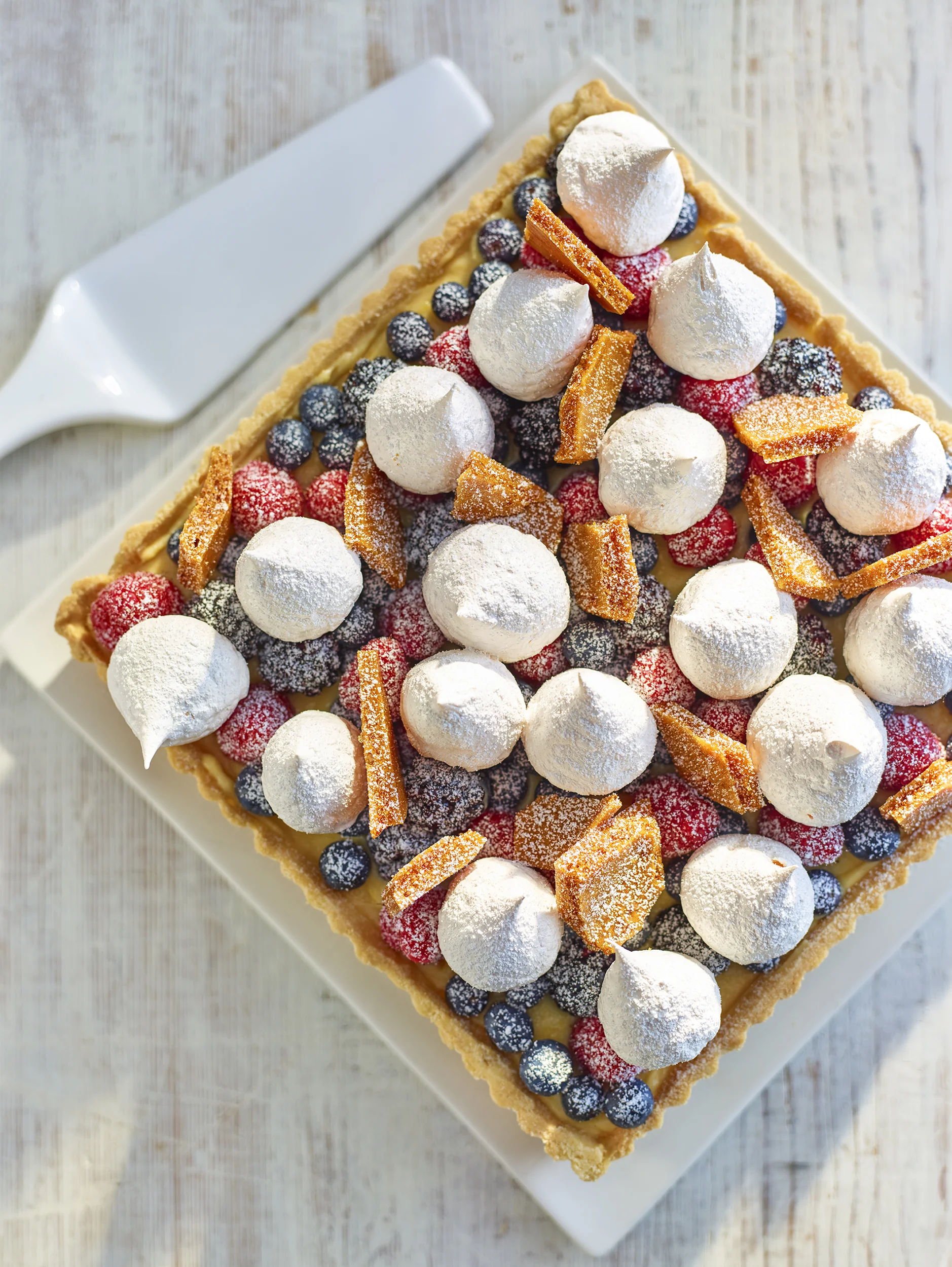 Berry_meringue_honeycomb_tart_f5.6_1294 copy.jpg