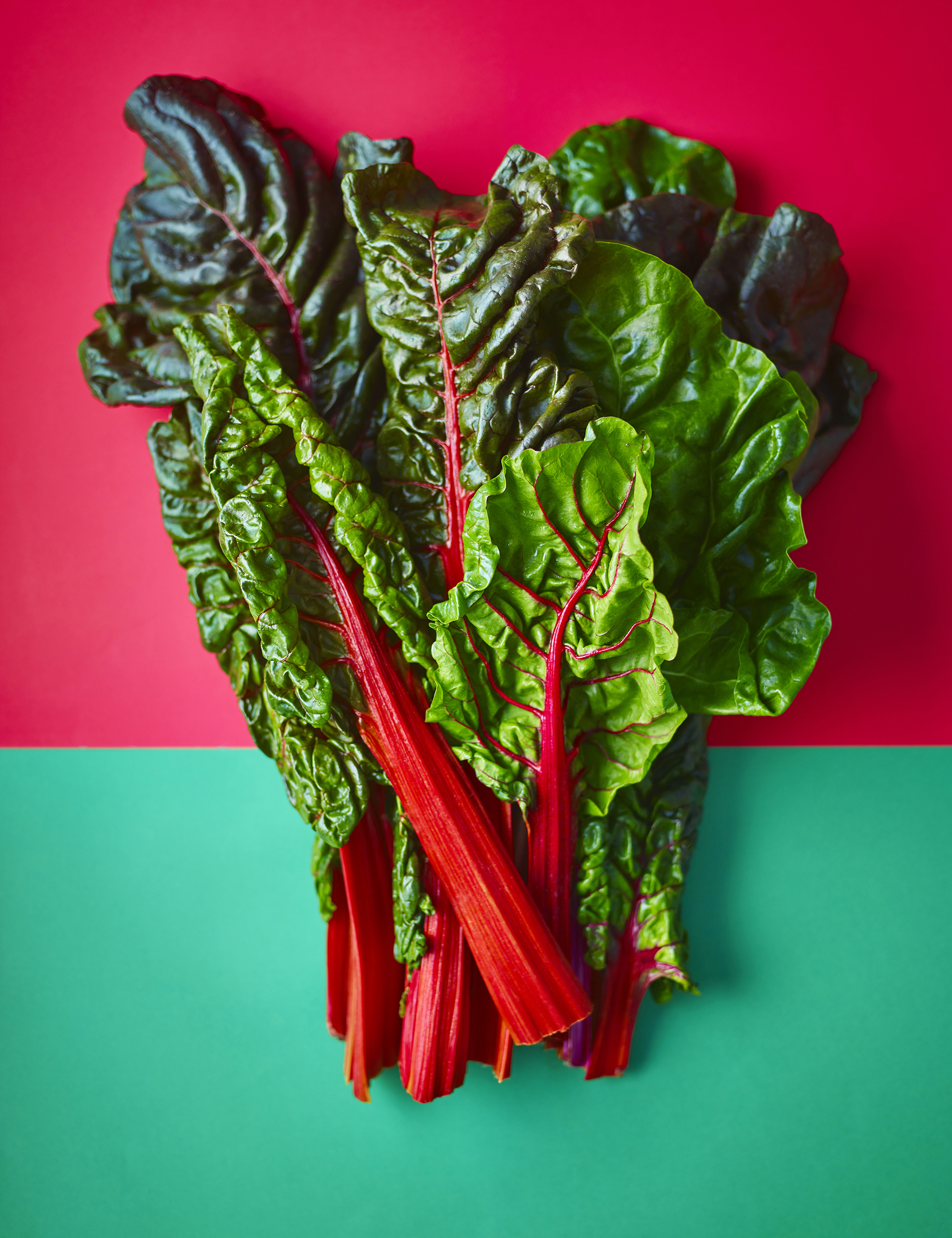 Chard_0841.jpg