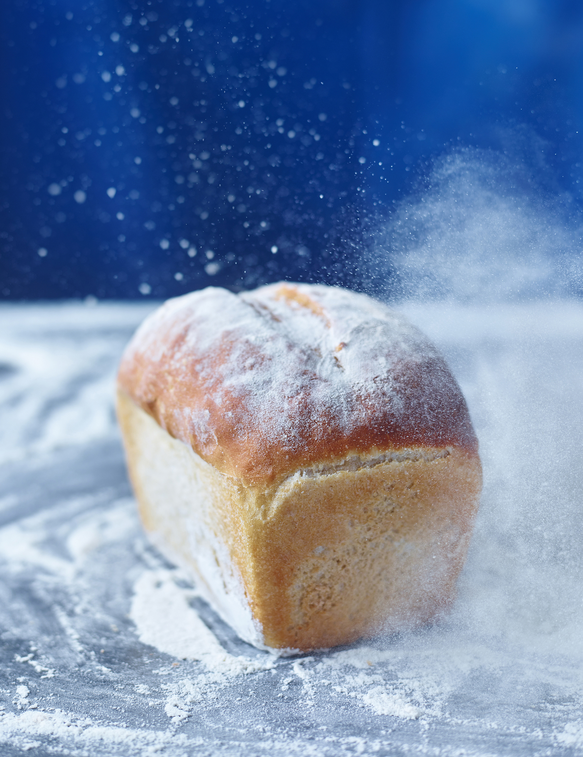 white bread flour_Layered.jpg