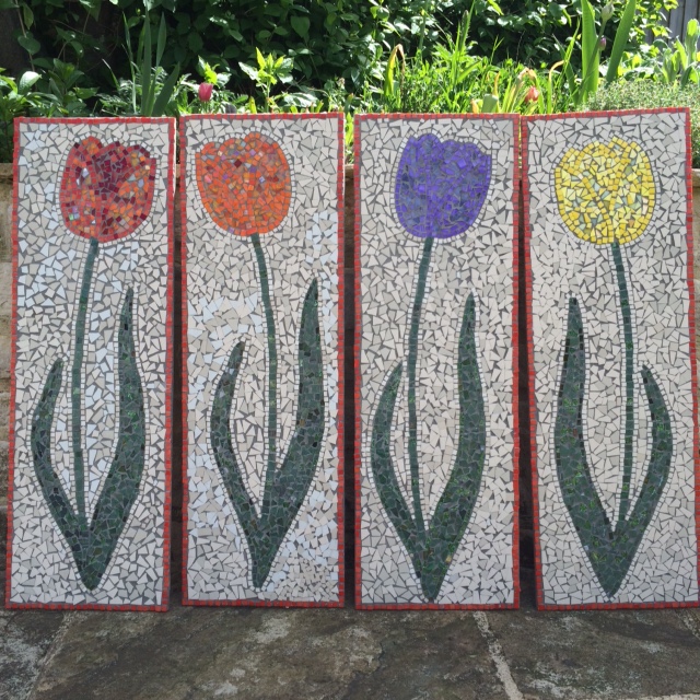 Tulips 