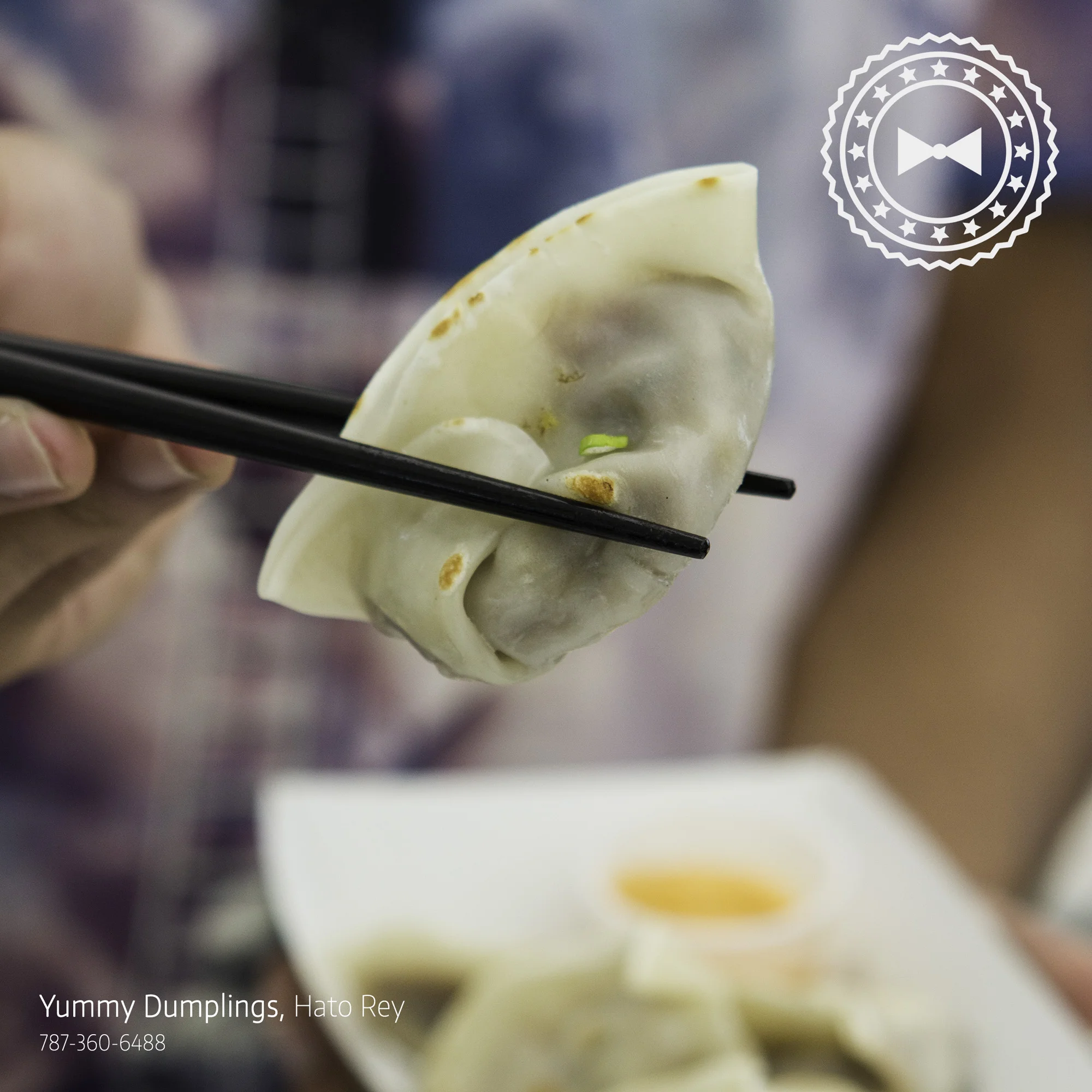  Dumpling, de Yummy Dumplings , Hato Rey