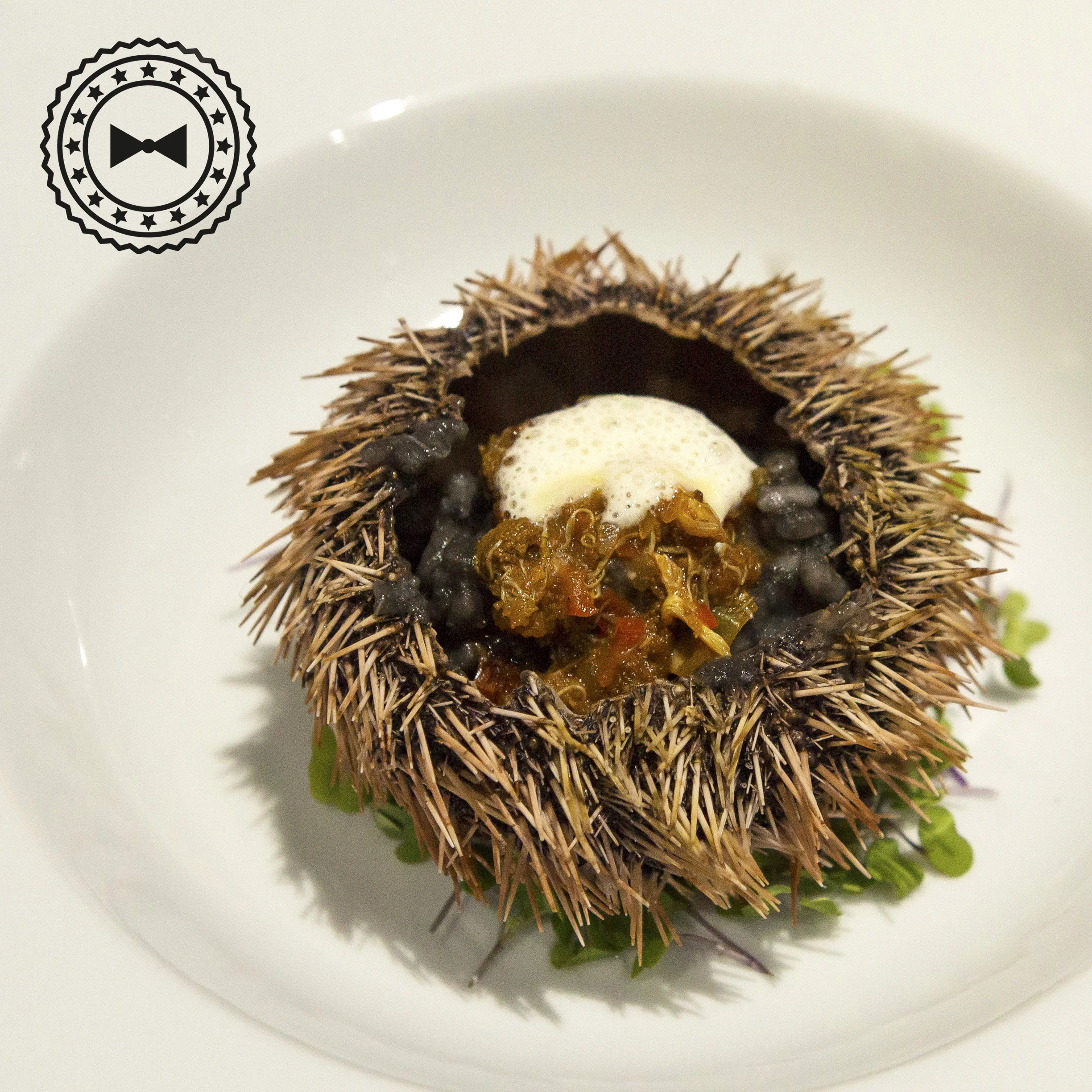 Salmorejo de erizo sobre risotto de tinta de calamres y espuma de queso parmesano, exclusivo de HOPS, por Comida Vinoteca.