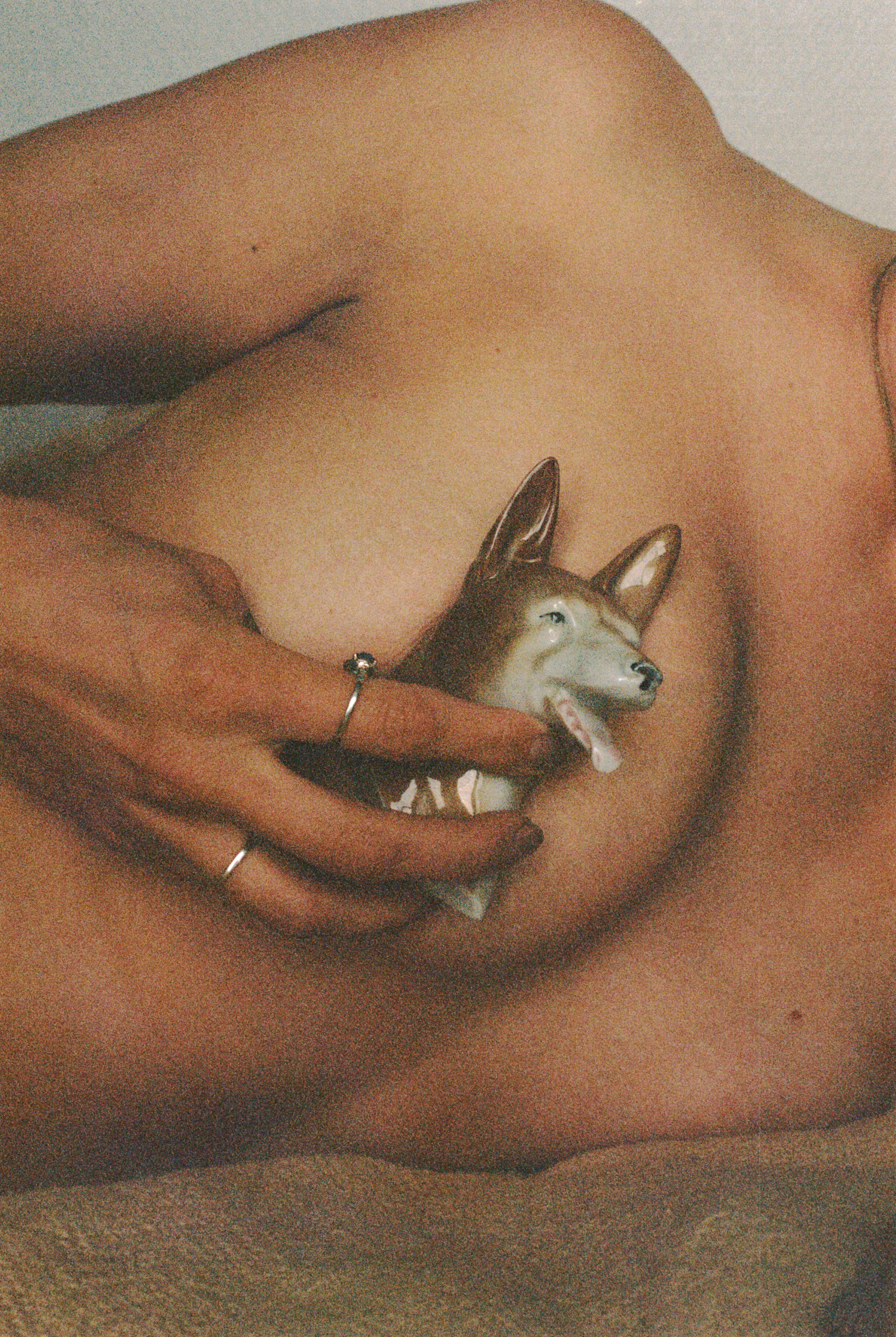 dog,tits,hihi.jpg