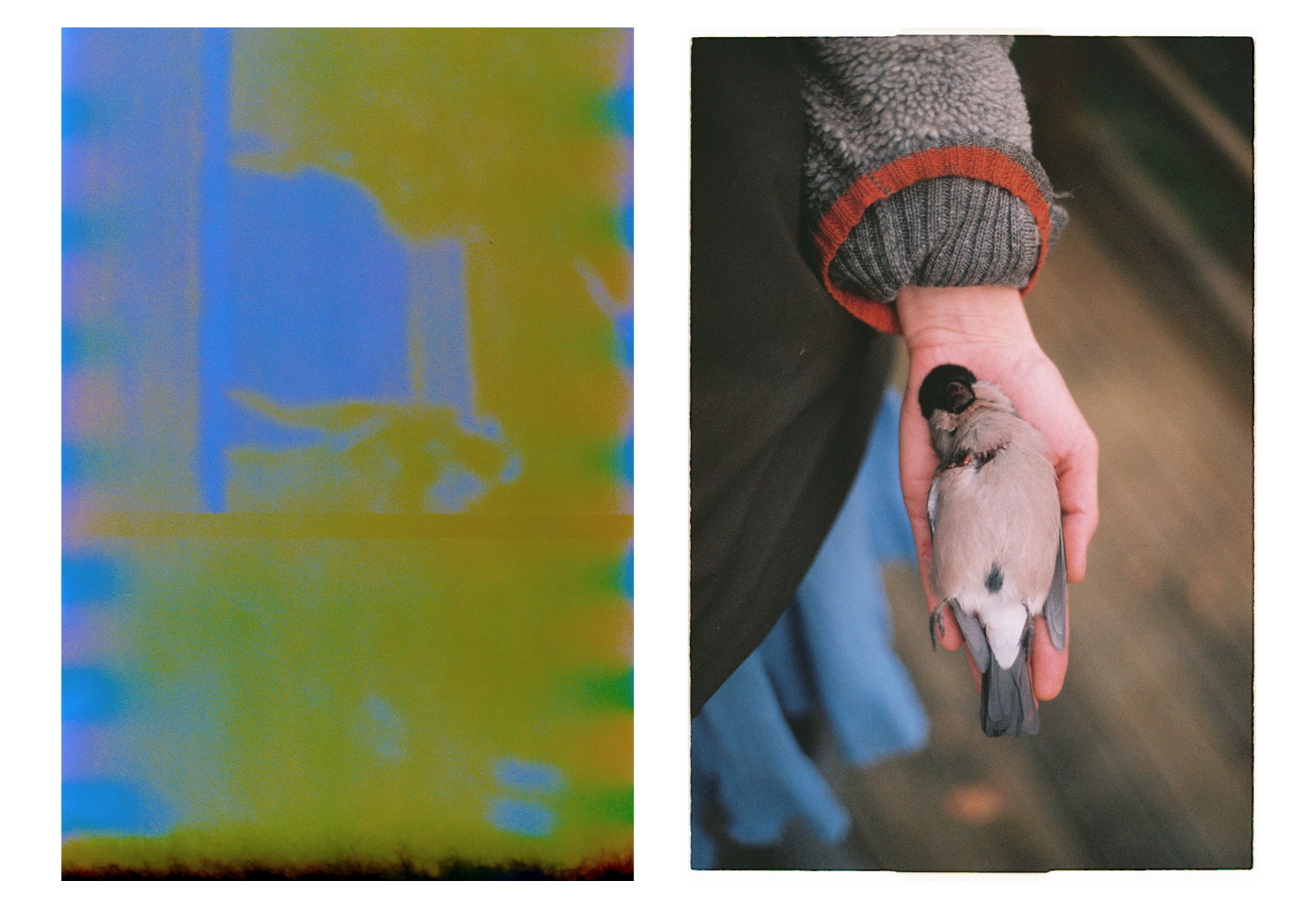 Screenshot 2021-10-15 at 17.01.06.png