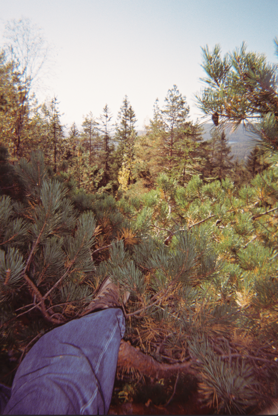 Screenshot 2021-10-15 at 12.36.42.png