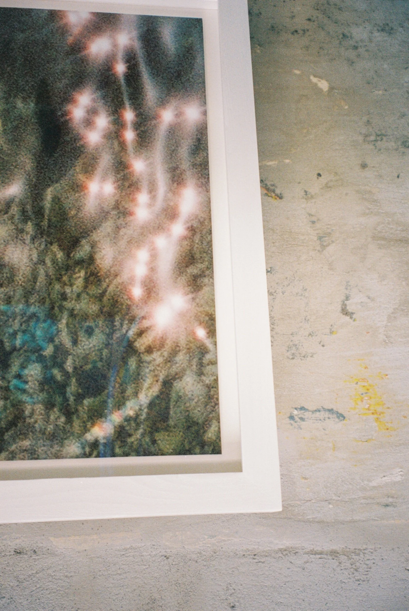 4B120280-054E-4F42-95C8-7B30E067179A