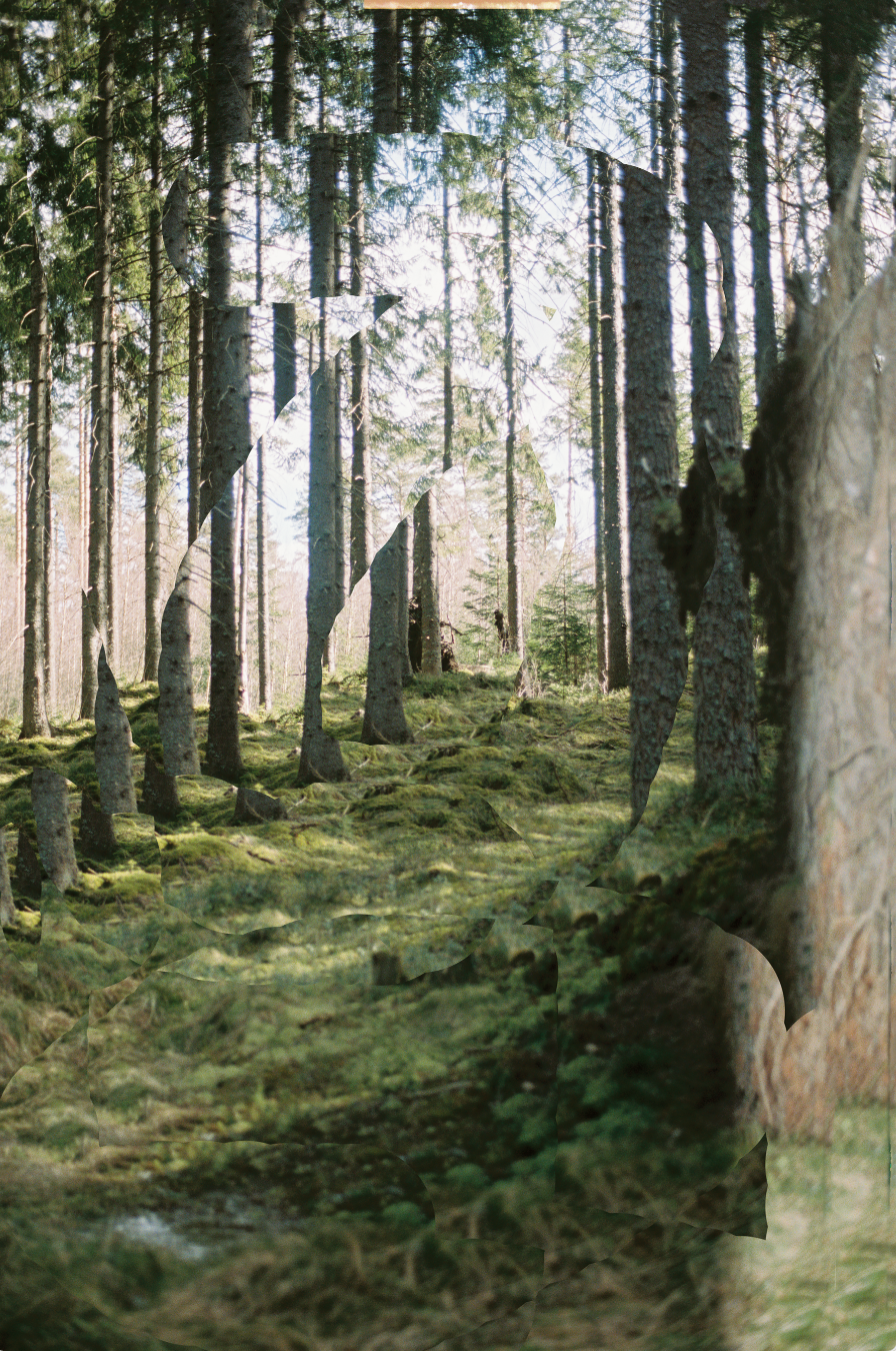 Screenshot 2022-10-21 at 17.25.14.png