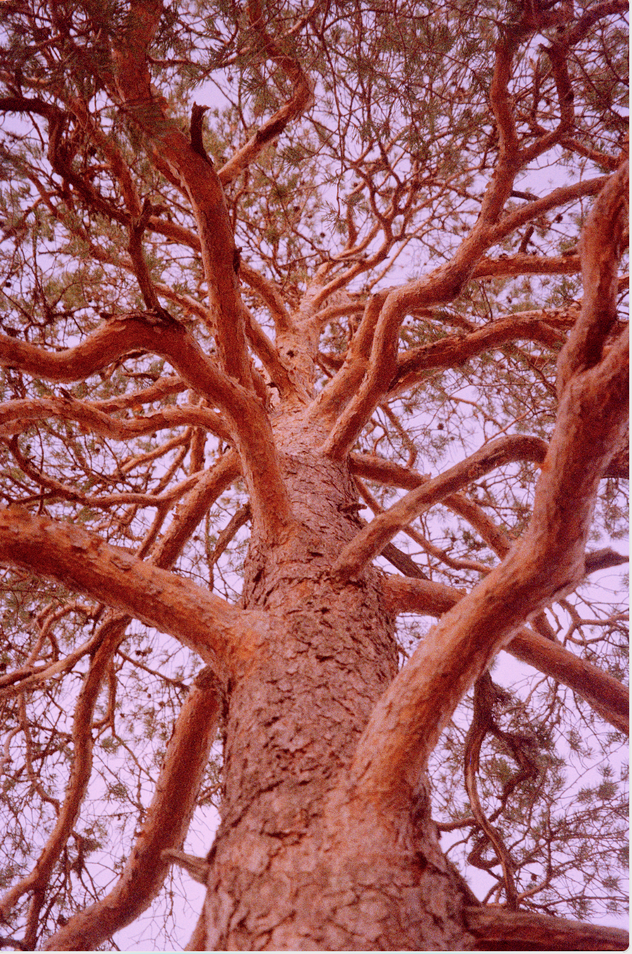 Screenshot 2022-10-21 at 10.58.24.png