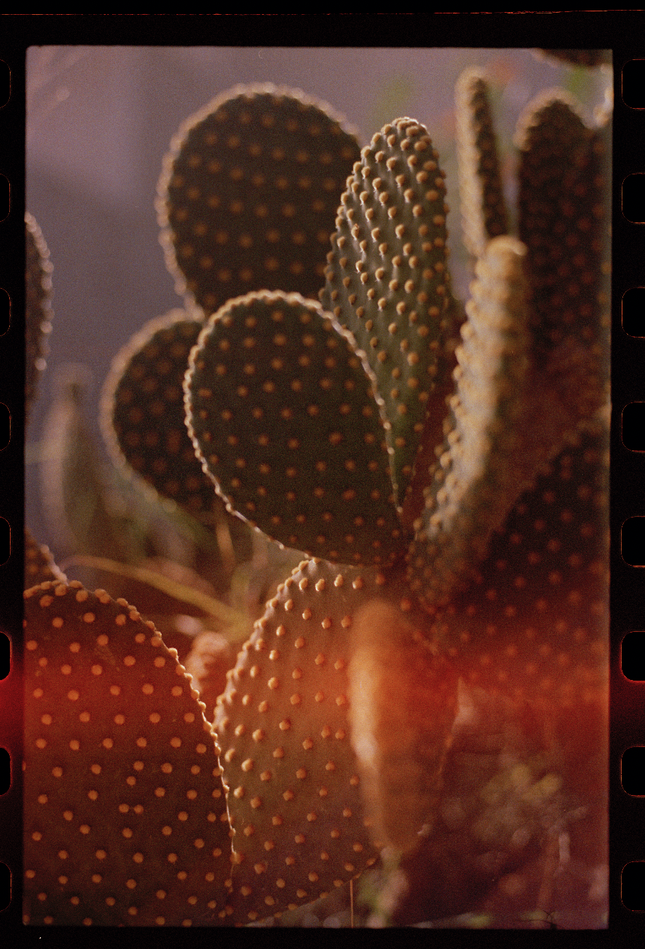 Screenshot 2023-02-21 at 08.50.15.png