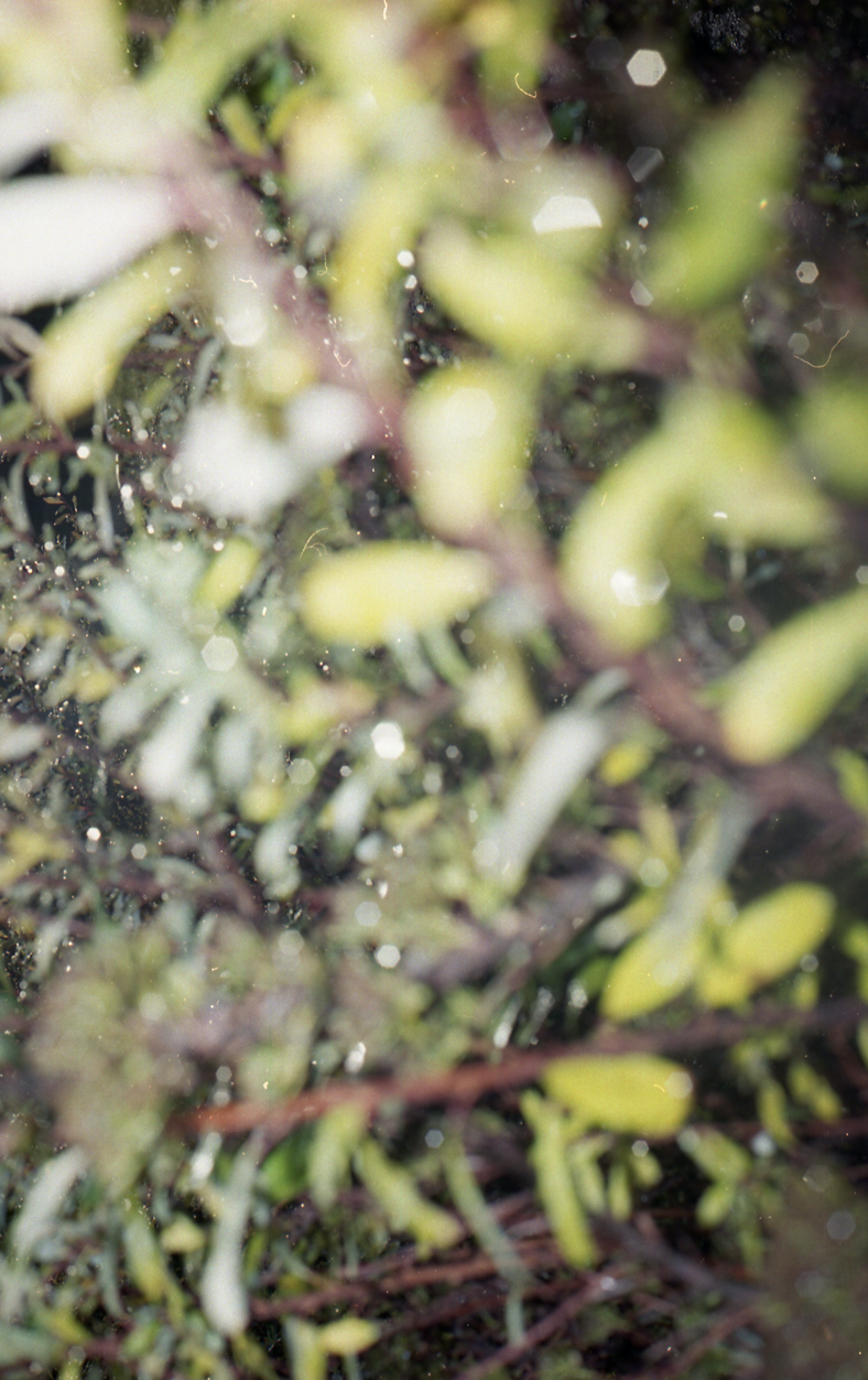 Screenshot 2023-02-24 at 13.41.10.png