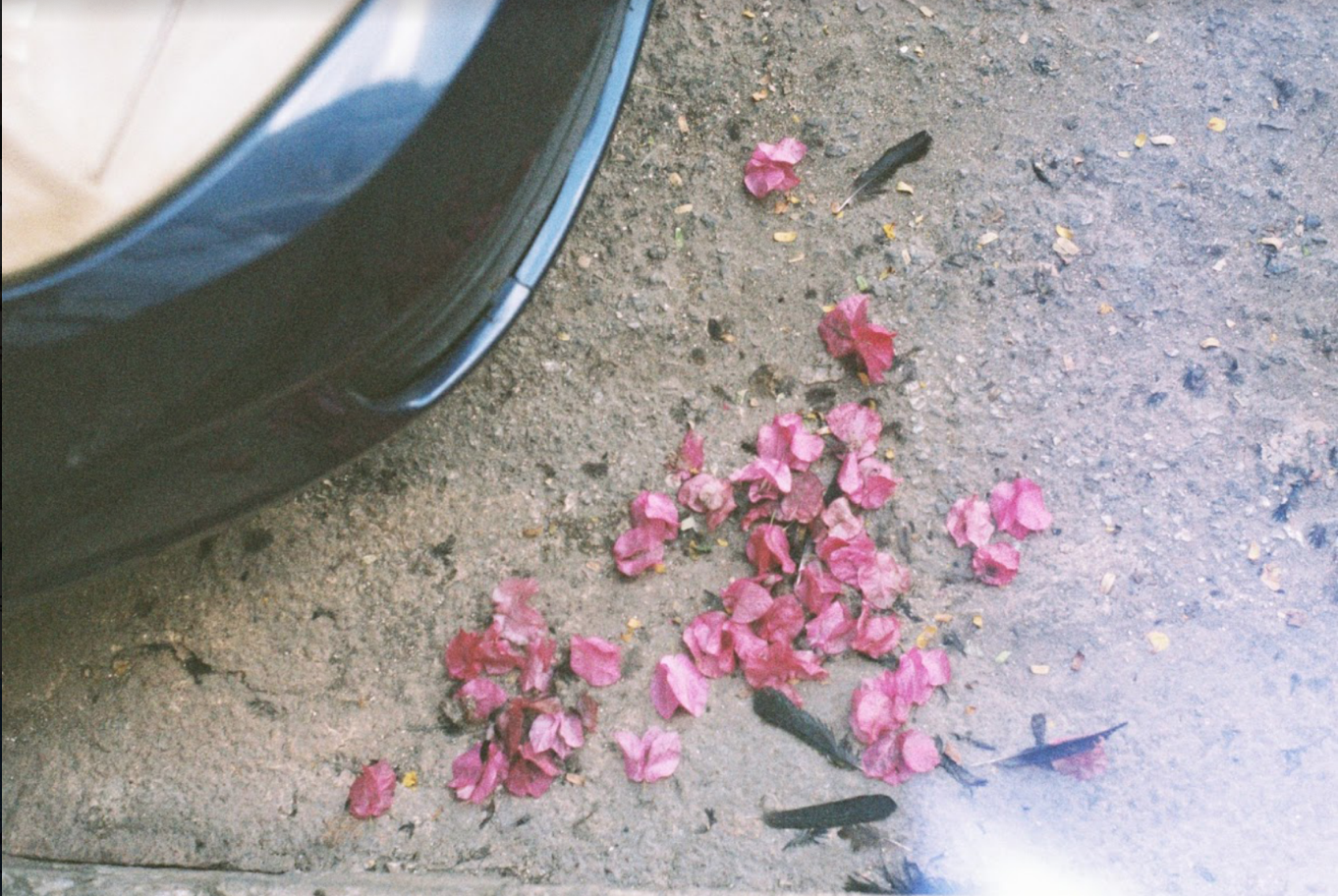 Screenshot 2023-02-24 at 13.39.20.png