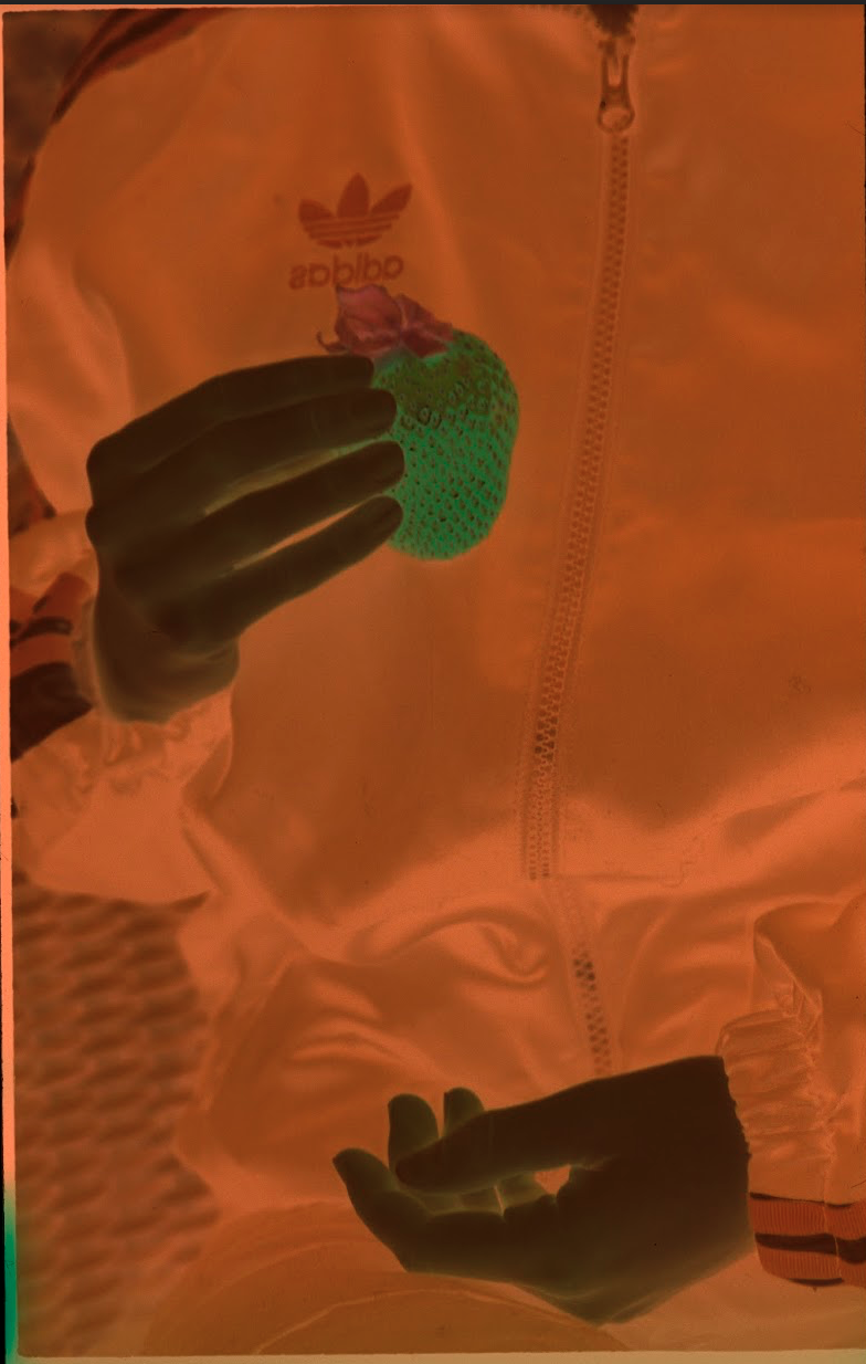 Screenshot 2023-02-24 at 13.49.00.png