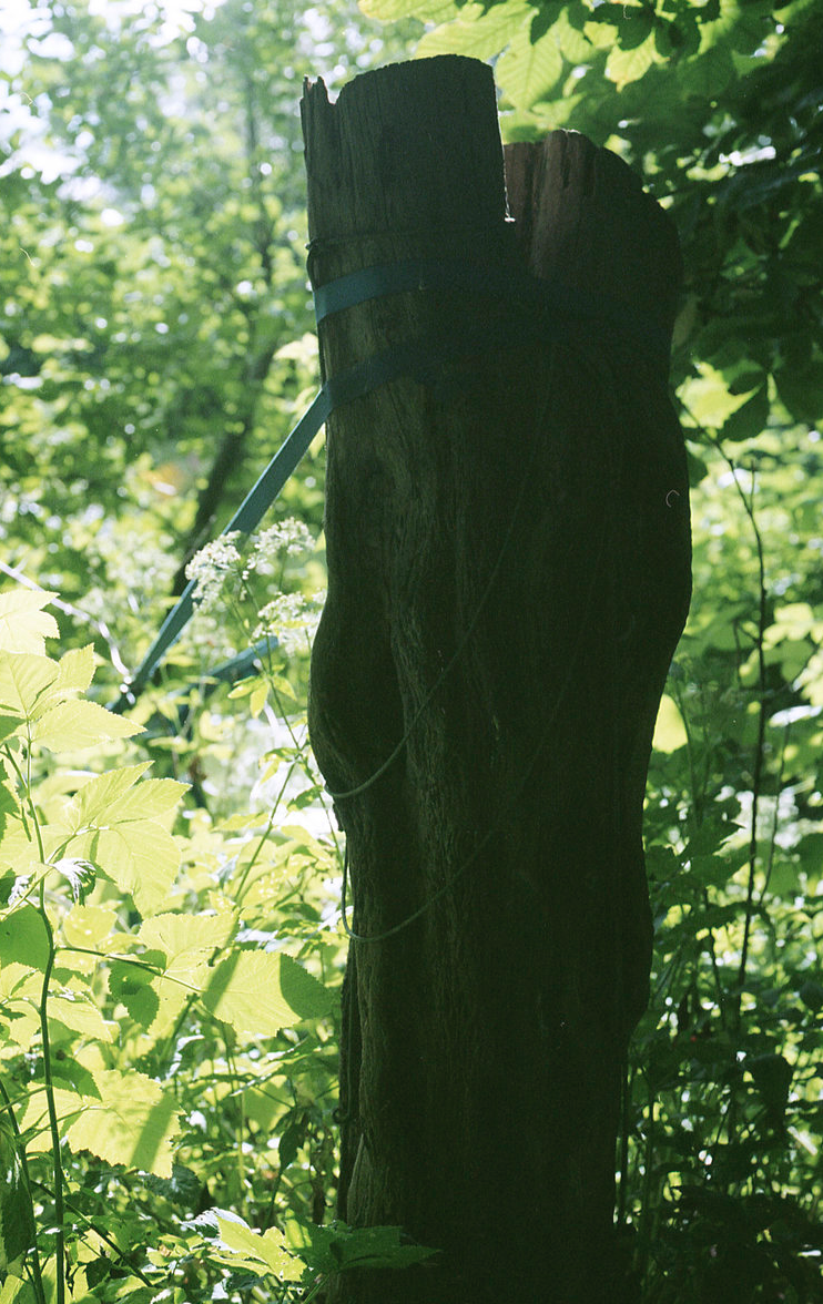 Screenshot 2023-02-24 at 13.45.58.png