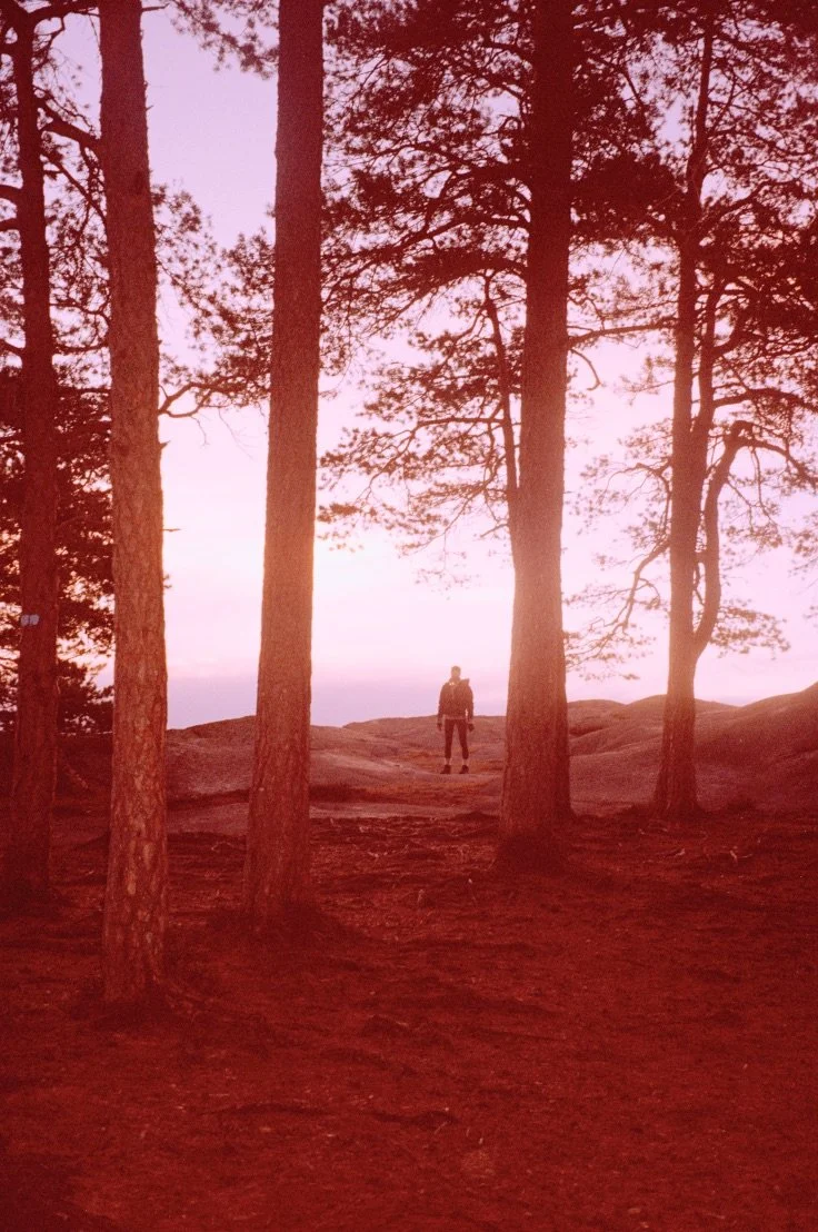 Screenshot 2022-03-02 at 20.36.36.jpeg