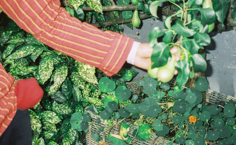 Screenshot 2022-10-23 at 22.36.48.png