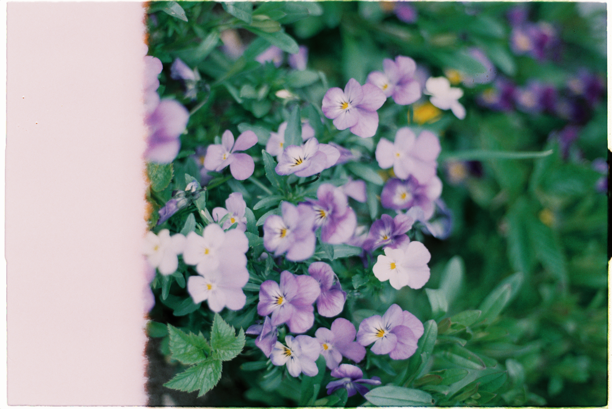 Screenshot 2023-12-04 at 09.13.13.png