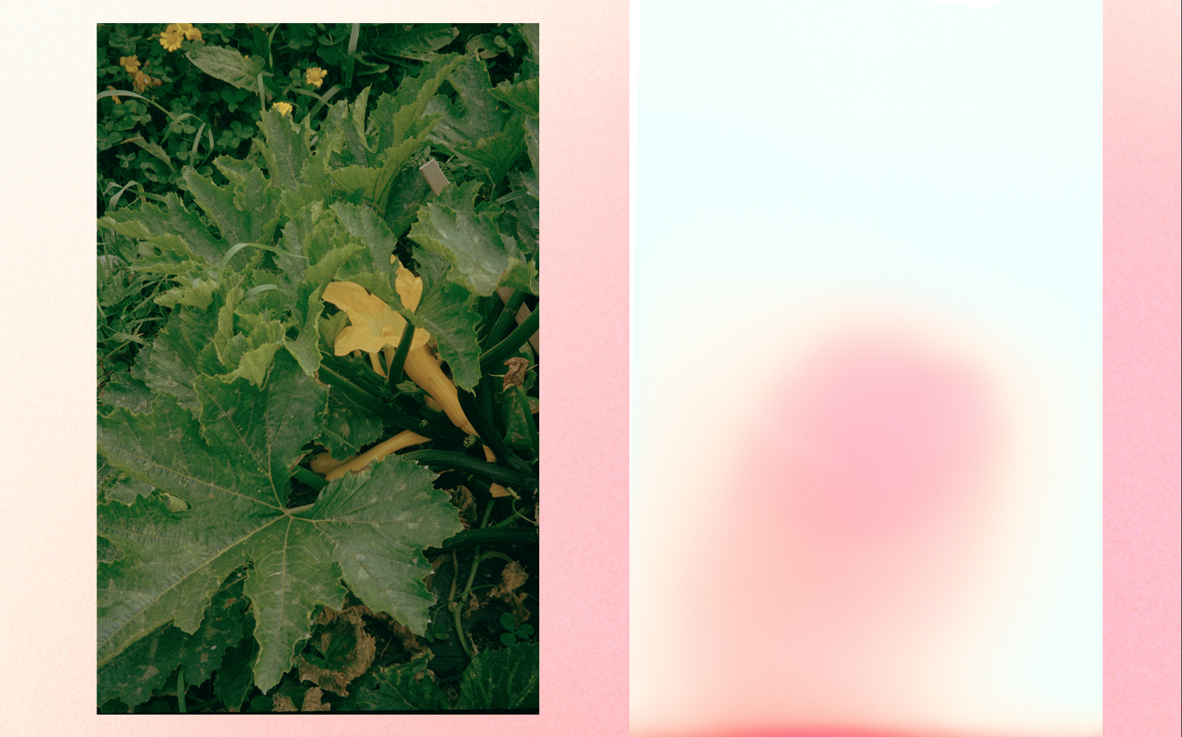 Screenshot 2023-10-31 at 22.47.50.png