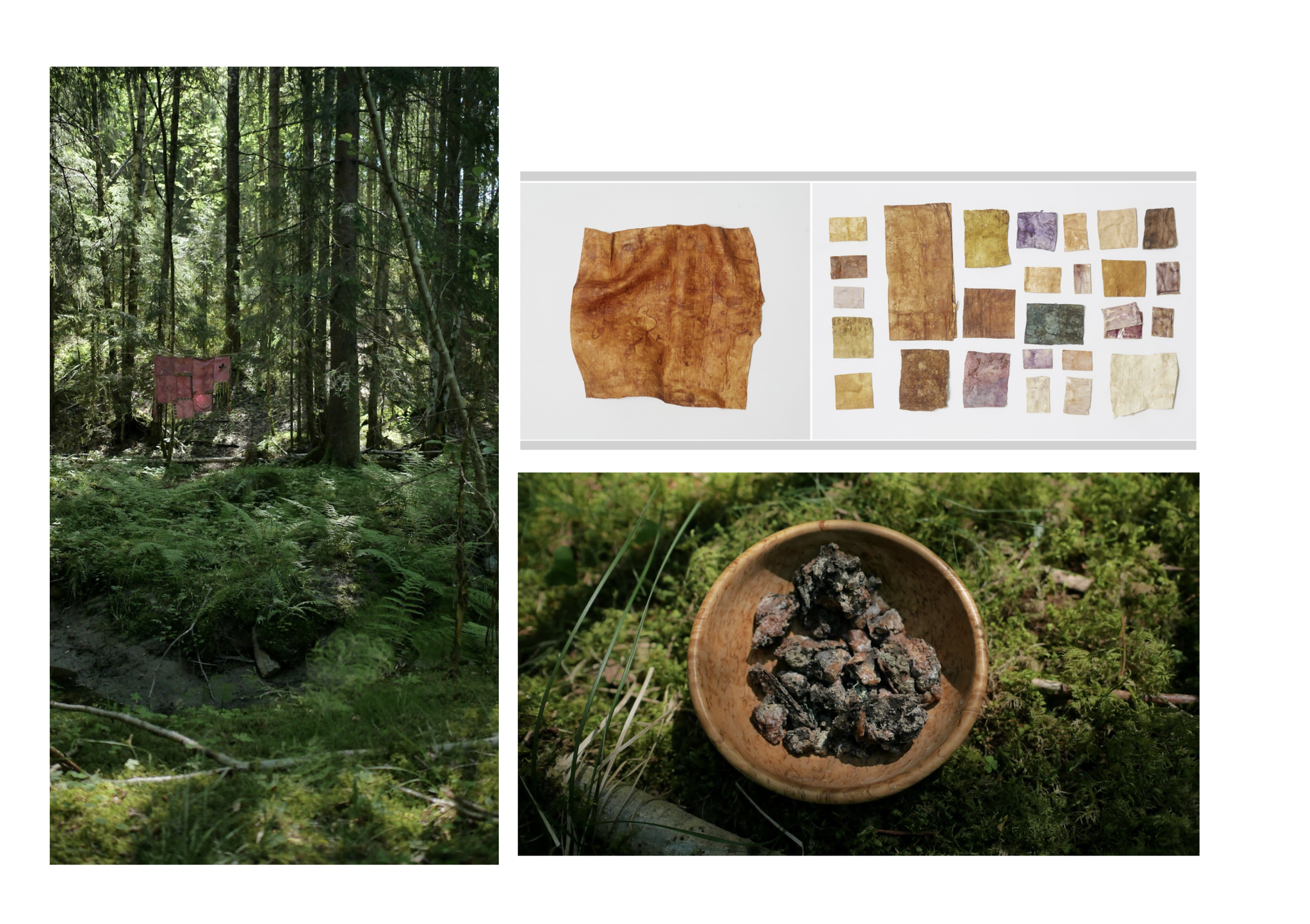 Art, Ecology and rituals (2023-ongoing)