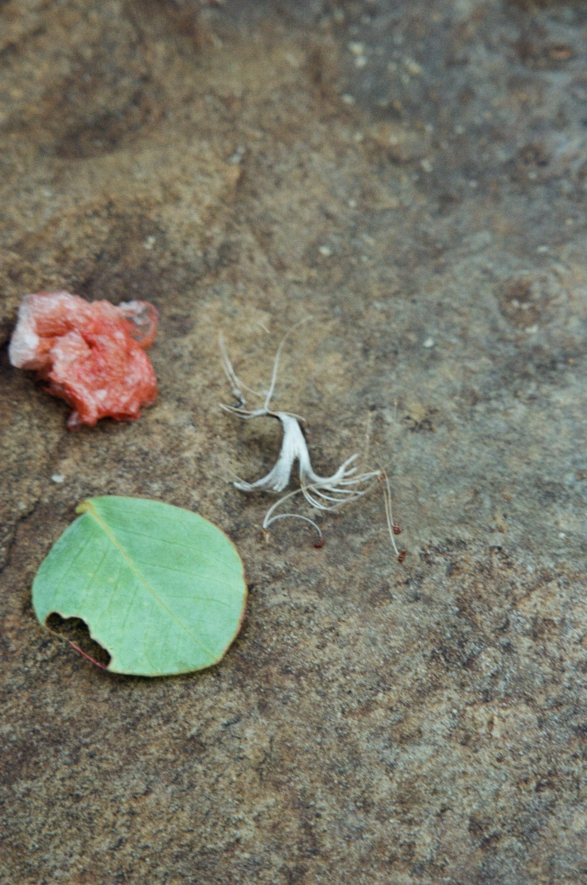 JennyHviding_0199_Fuji200_20-11__31 (1).jpg