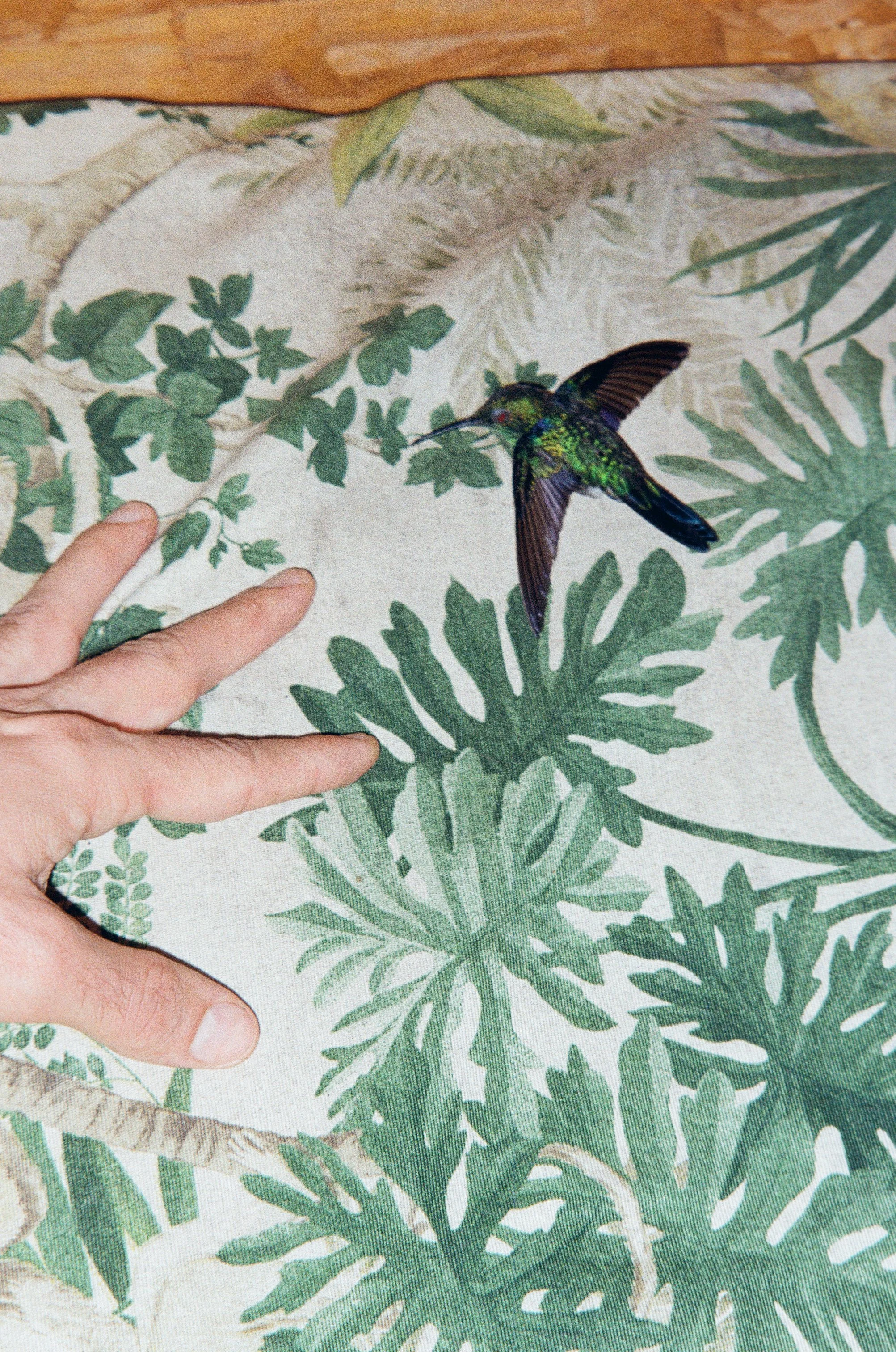 JennyHviding_0200_Fuji200_20-11__24 (1).jpg