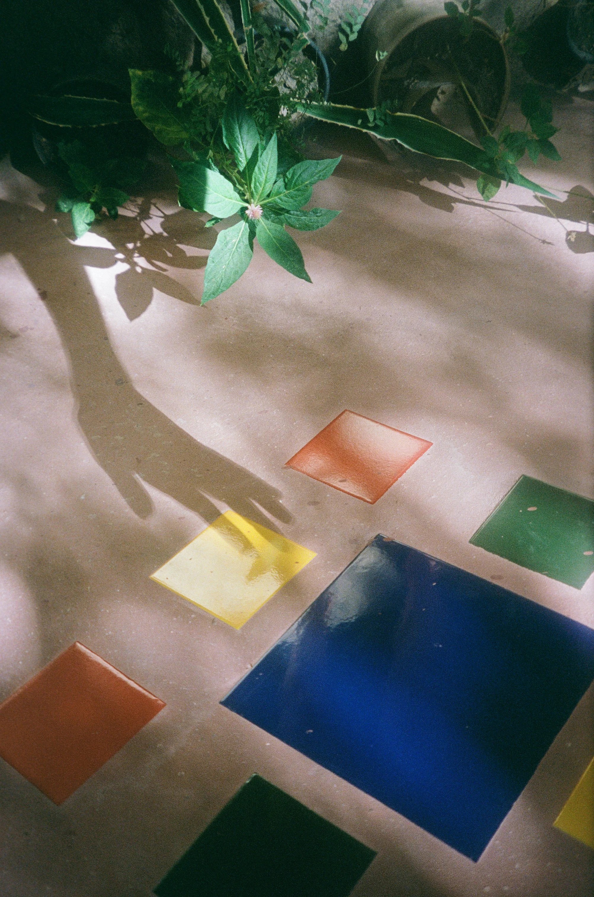 JennyHviding_0203_KodakPortra400_20-11__35 (1).jpg