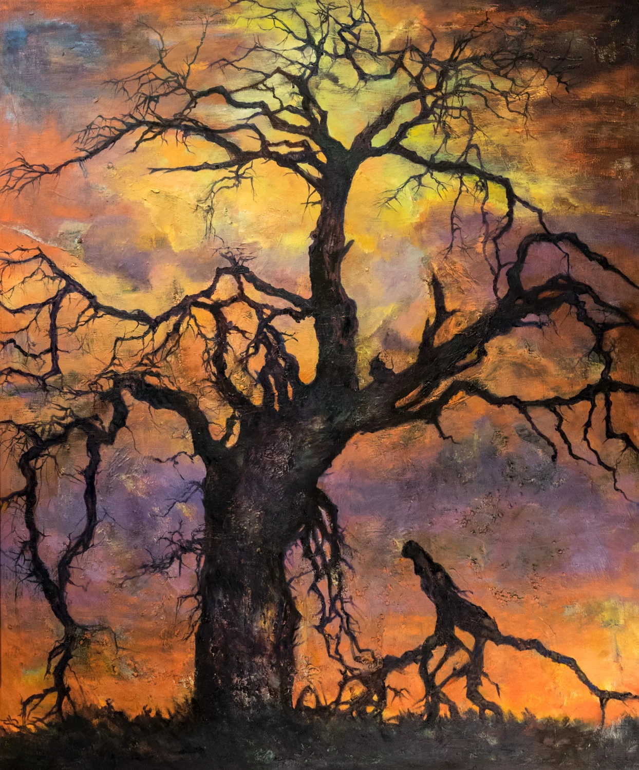 Big Tree,Sunset