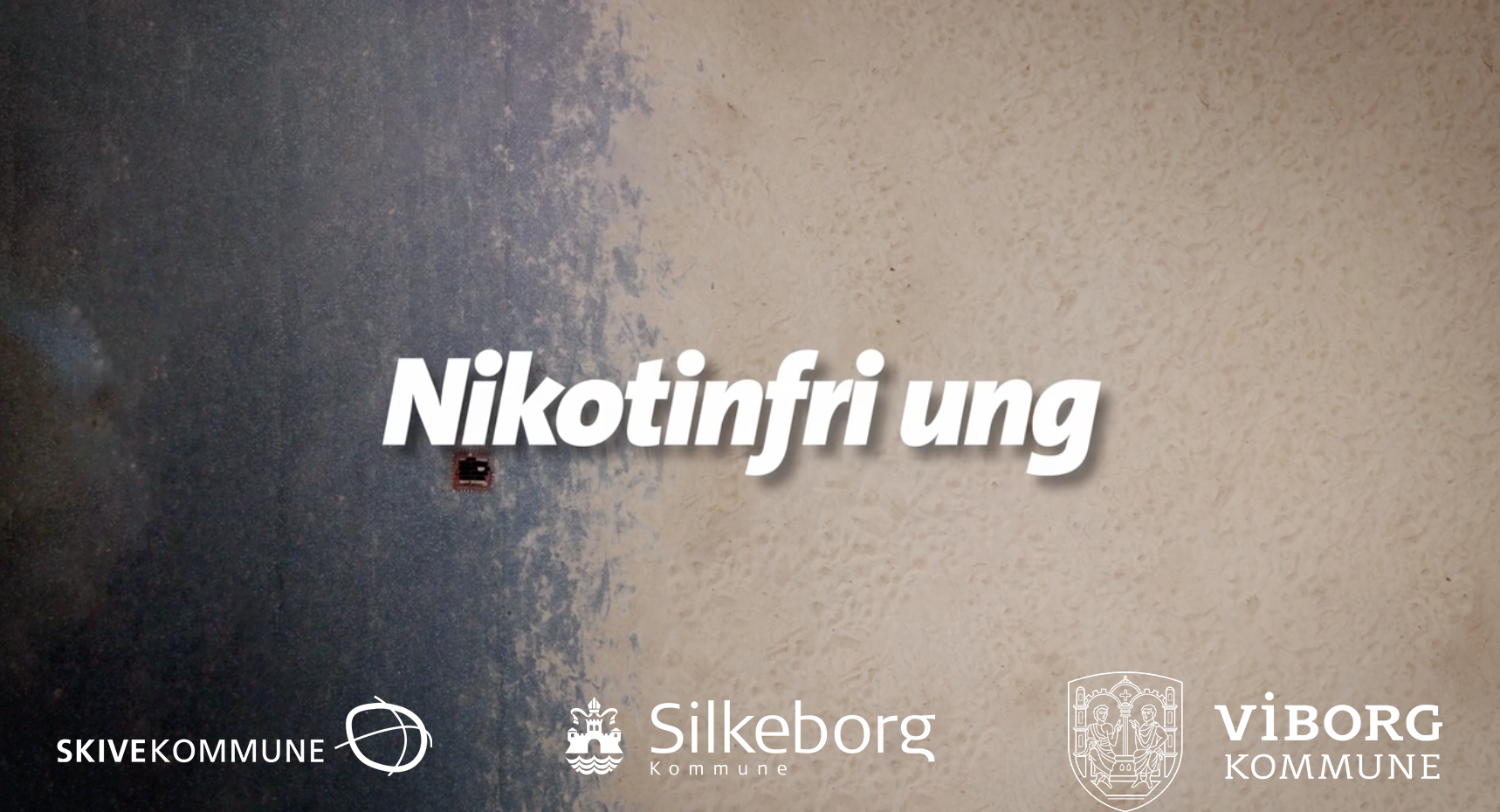 SNUS_Final