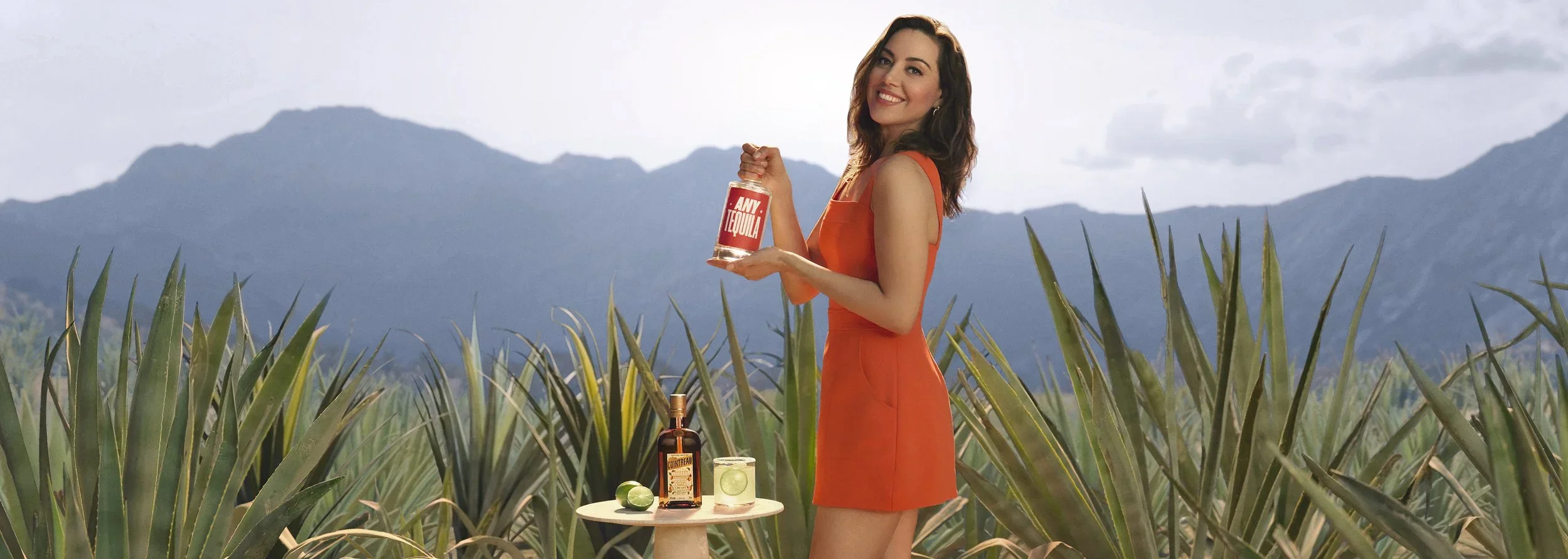 CointreauAnyTequila2025_AgaveField_S1_1316_WORKING+3-001+(1).webp