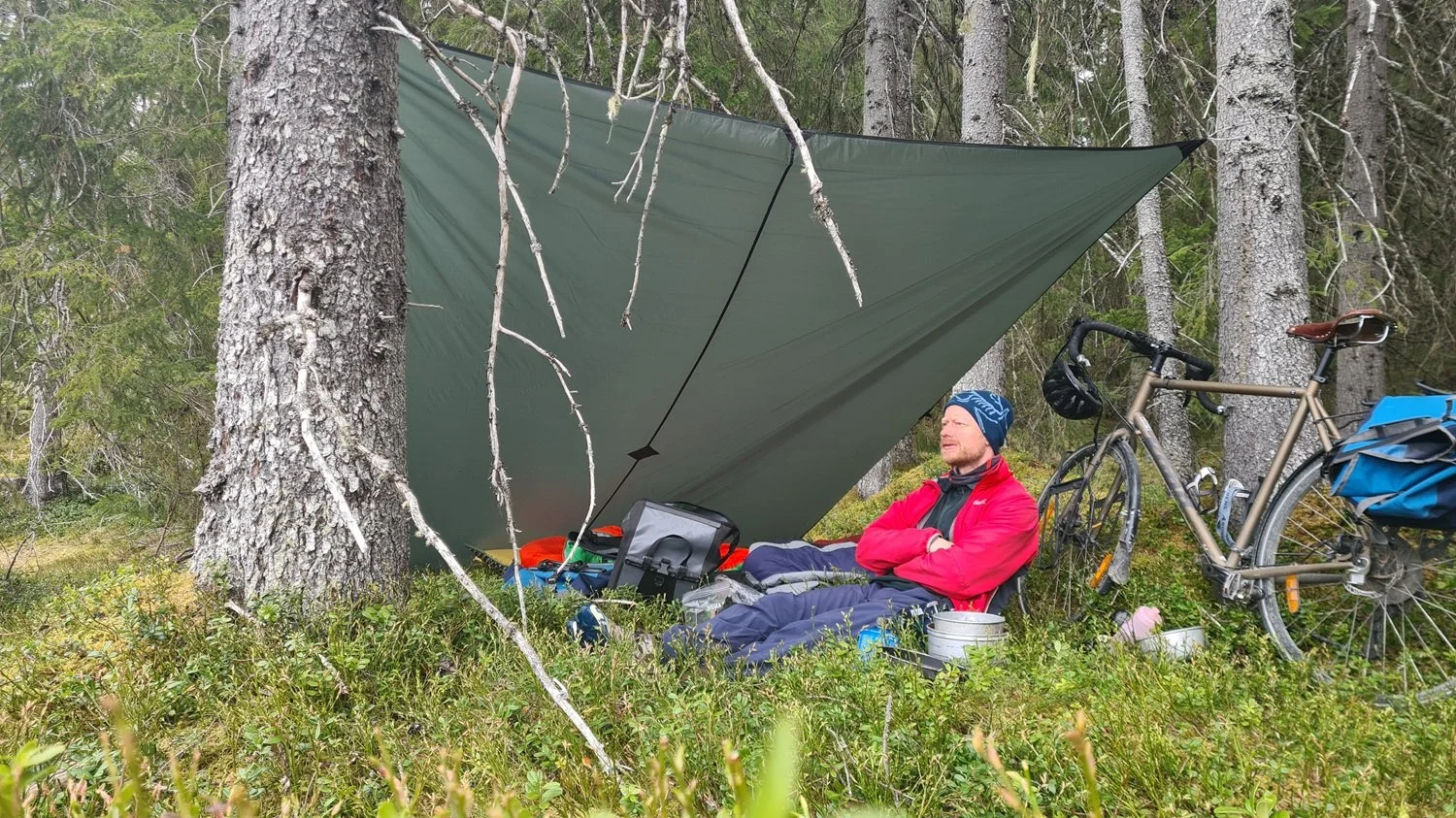 Morgenstund i skogen.