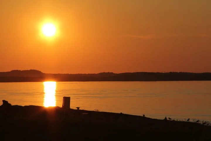 midnattsol