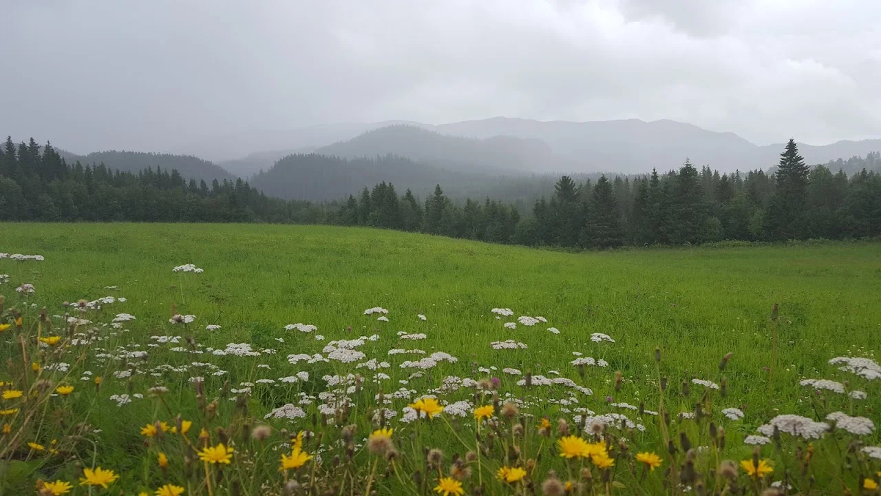 Eng og fjell i Namdalen.