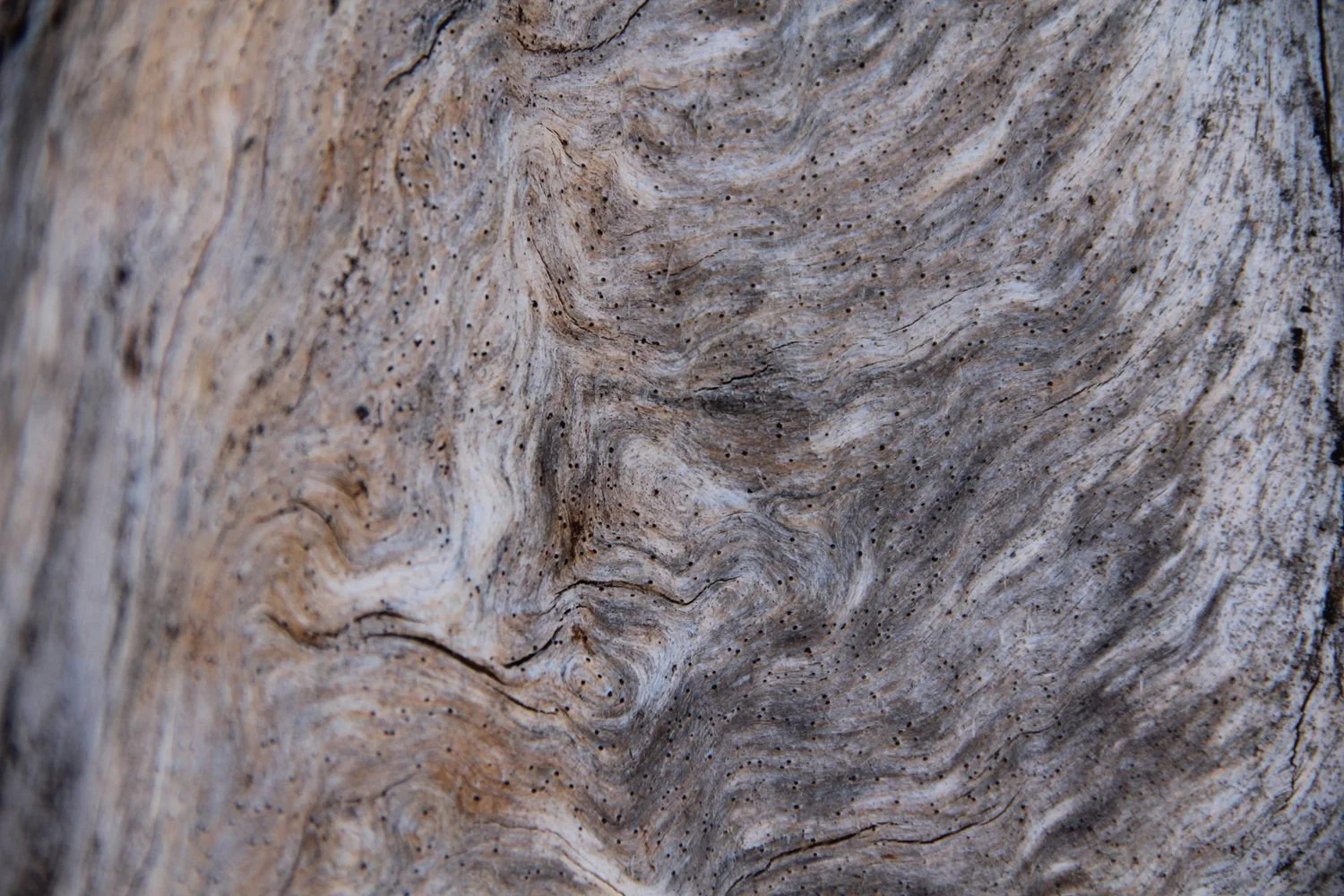 mønster-i-gammel-furu.jpg