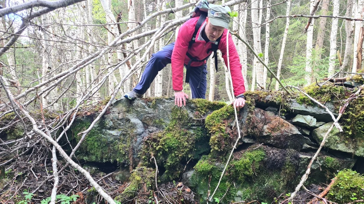 klyve-over-steingjerde.jpg