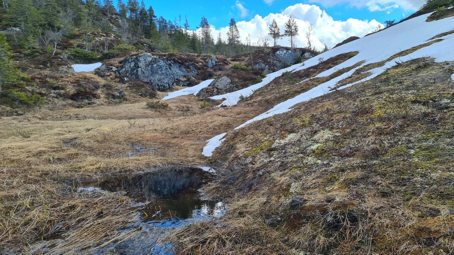 bekken-snø.jpg