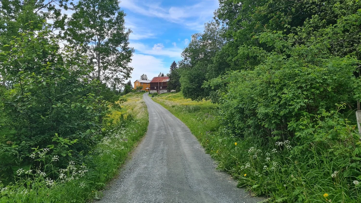 gåtur8.jpg