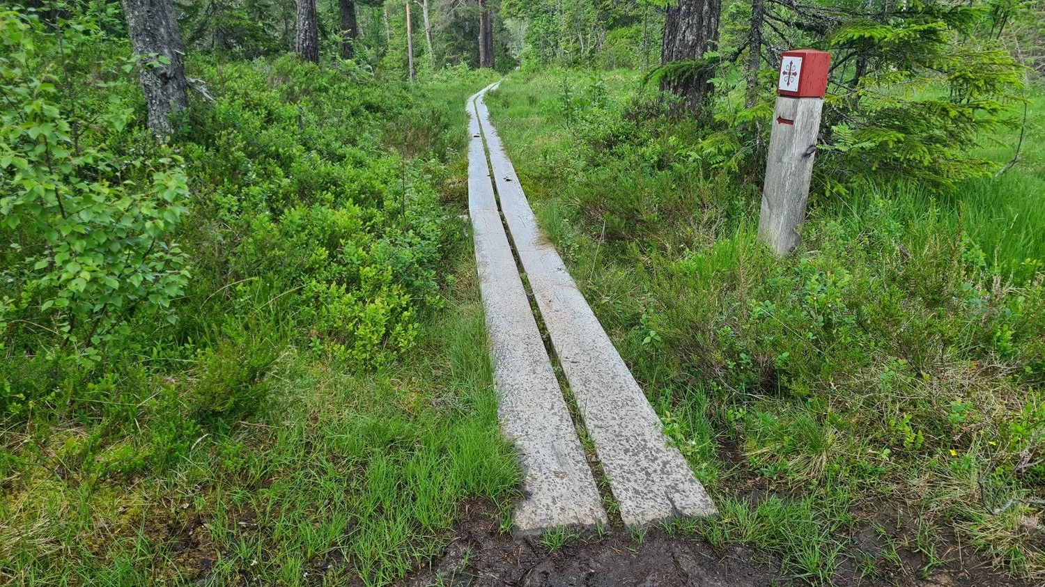 gåtur9.jpg