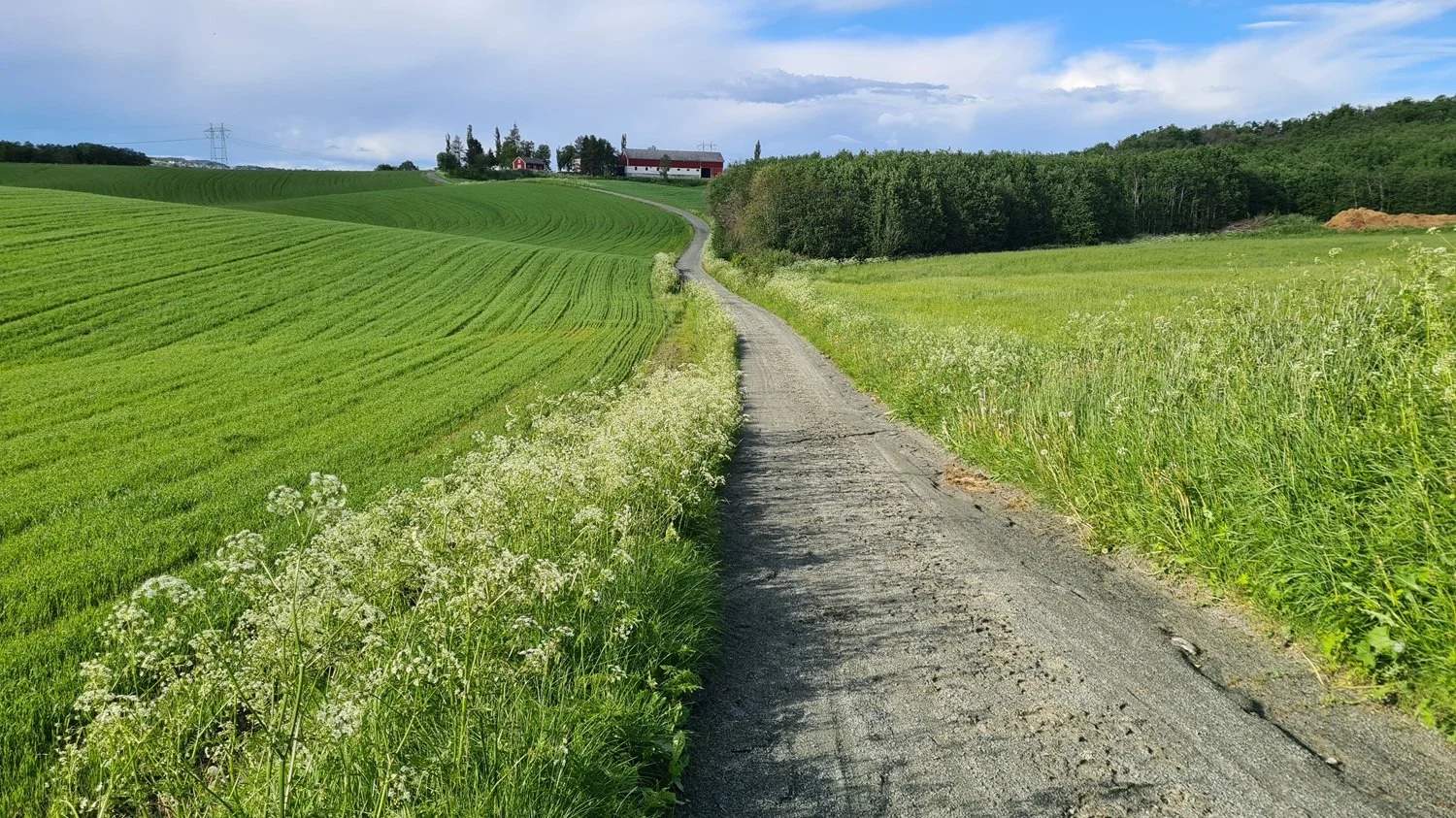 gåtur19.jpg