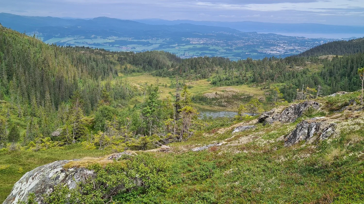 utsikt-vassfjellet-mot-trondheim.jpg