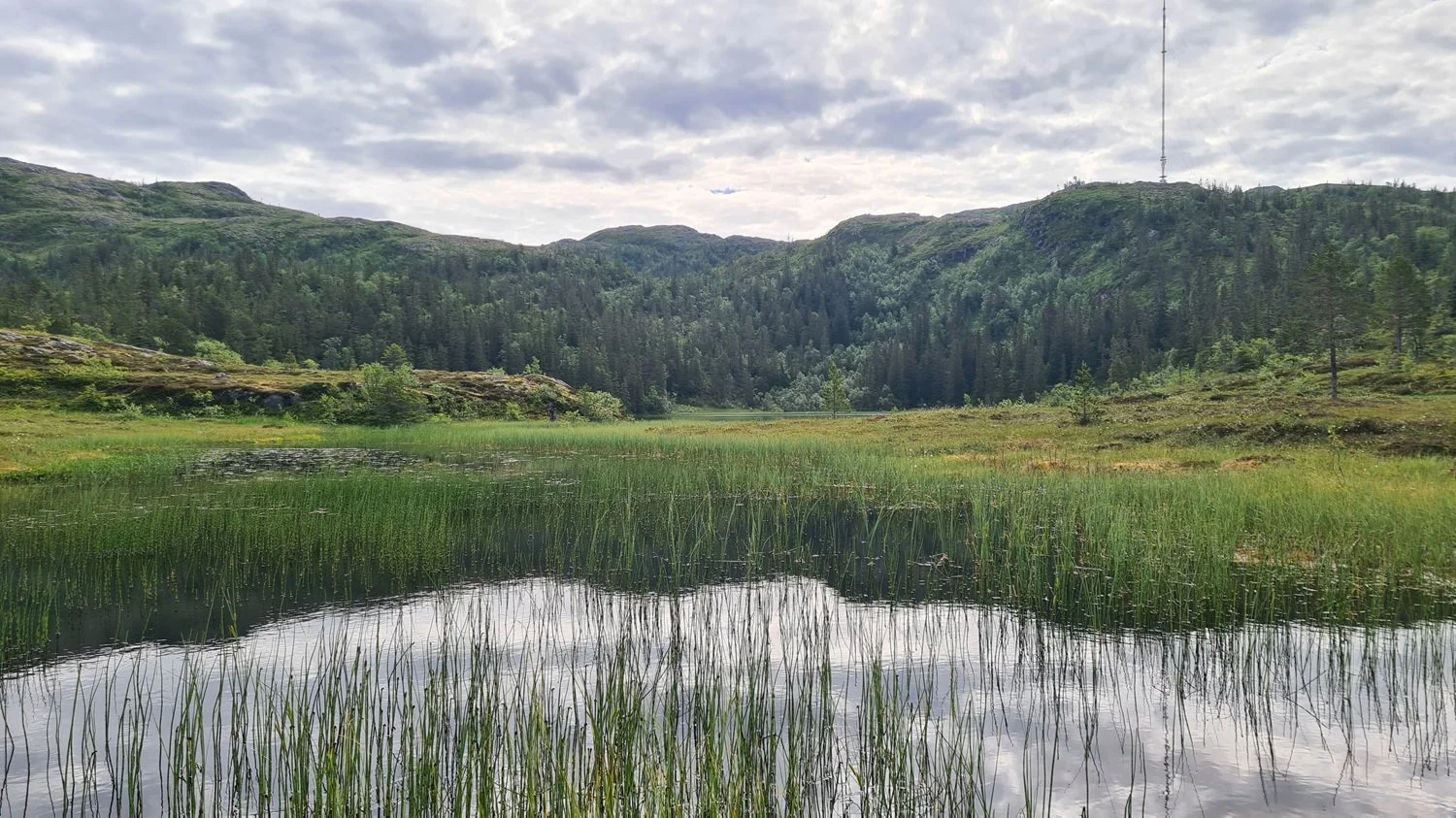damtjønna-vassfjellet.jpg