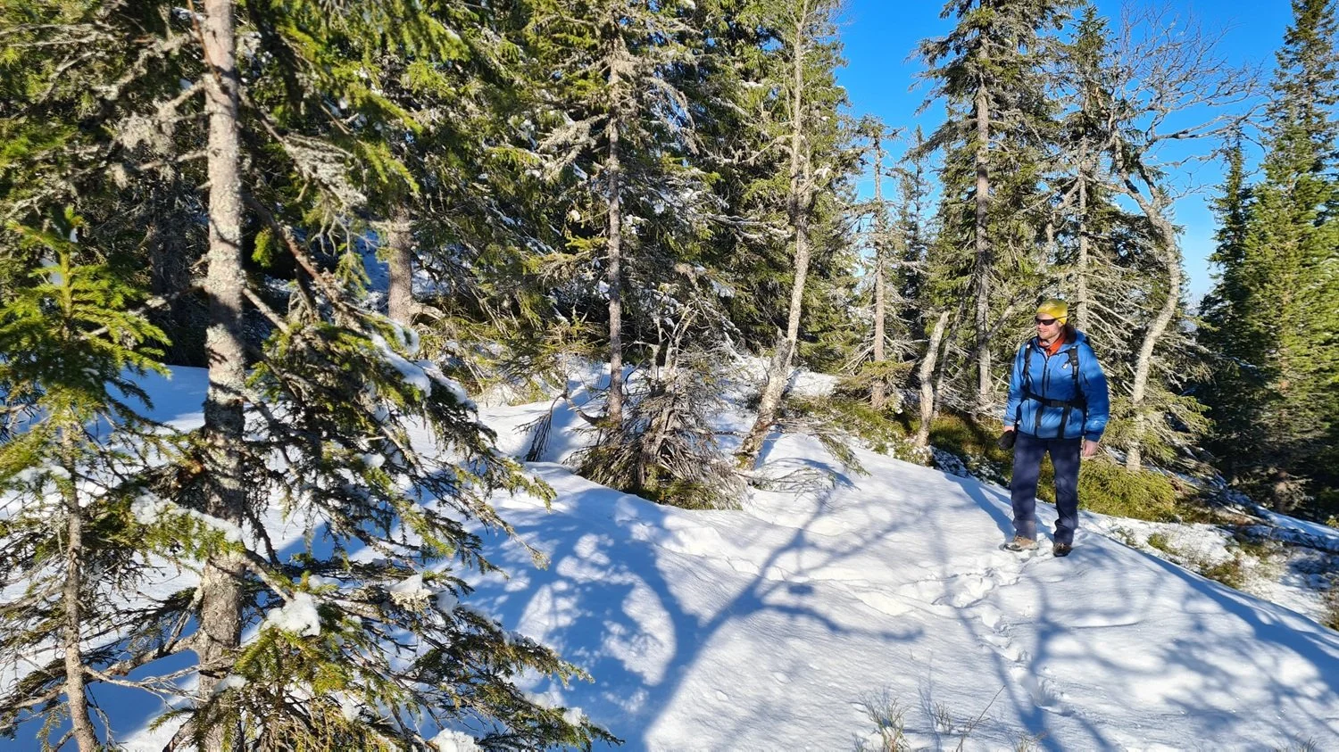 Gåtur i snø på fjellet.