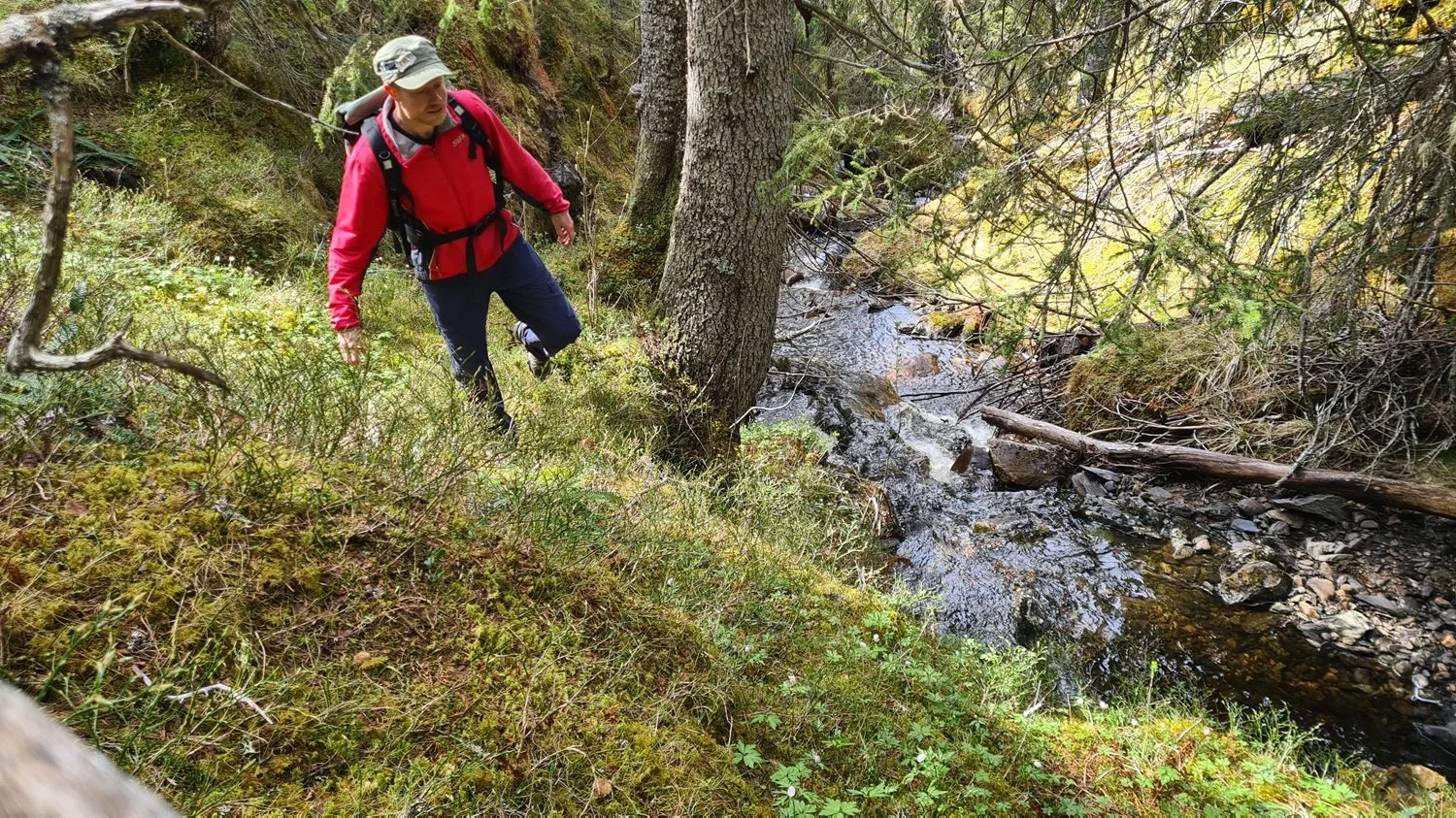 Mann går langs en bekk i skogen.