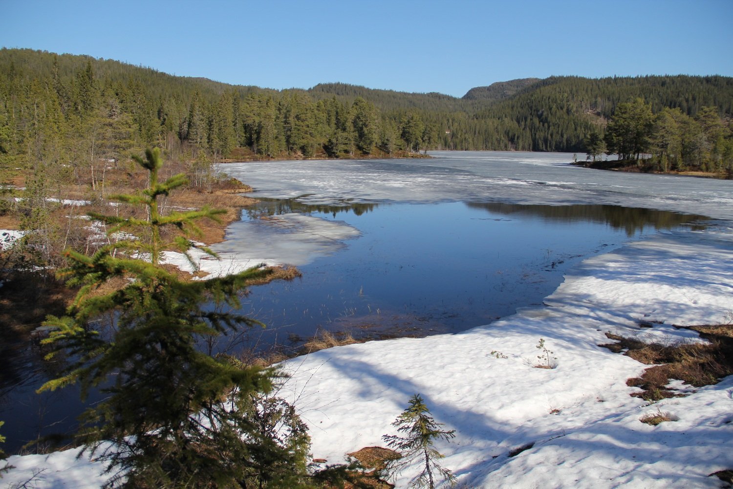 Innsjøen Skjellbreia i Bymarka.