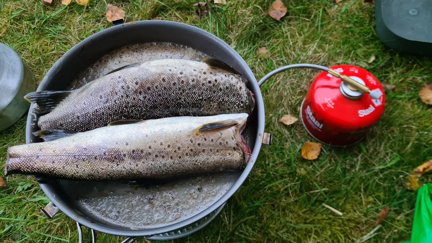 Fisk i stekepanne.