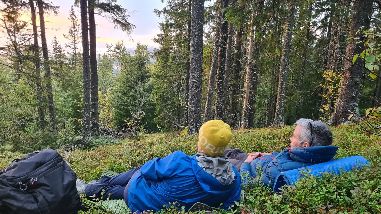 To menn på tur i skogen.