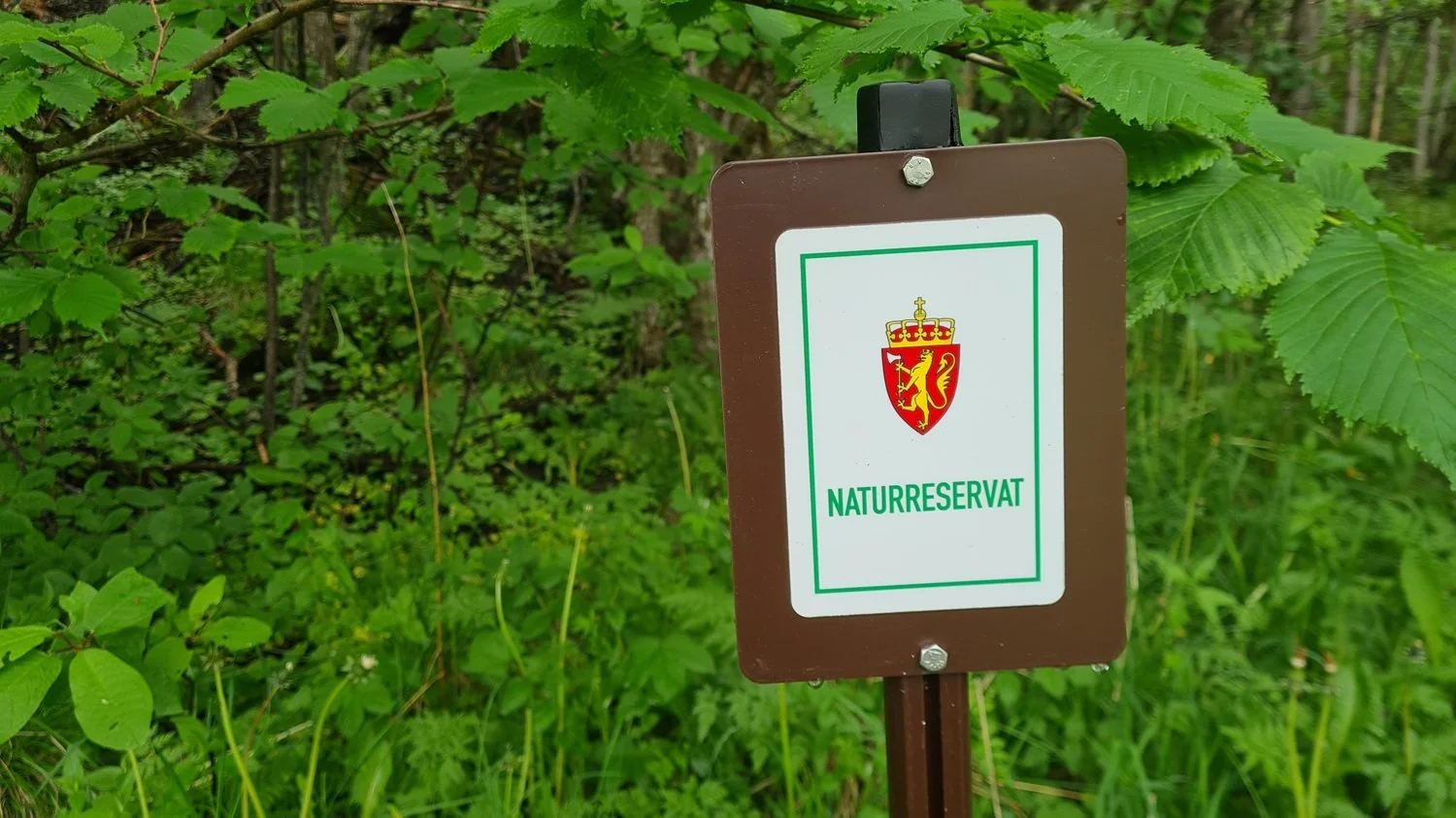 Skilt naturreservat.