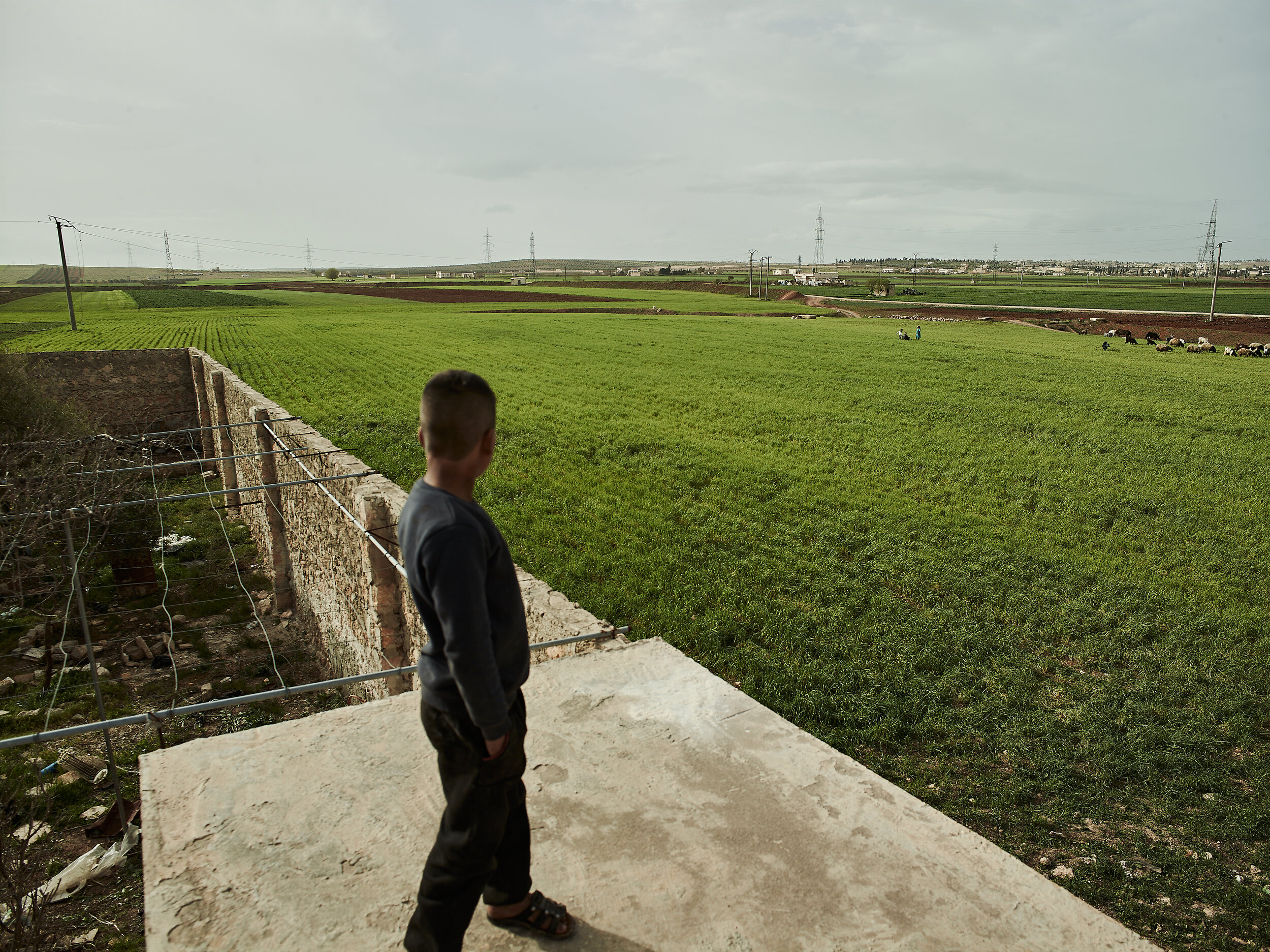 A young boy looks out over the Syrian countryside near Afrin