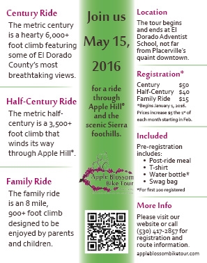 Flyer Back