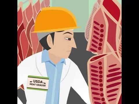 USDA Steak Grades Explained by Strassburger Steaks (Copy)